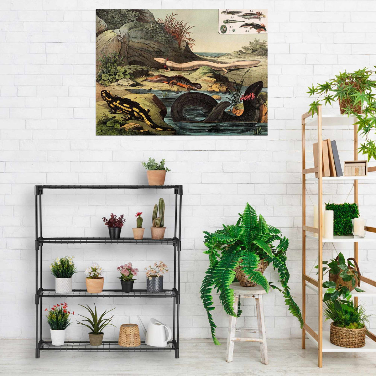 Plant shelf with 4 shelves