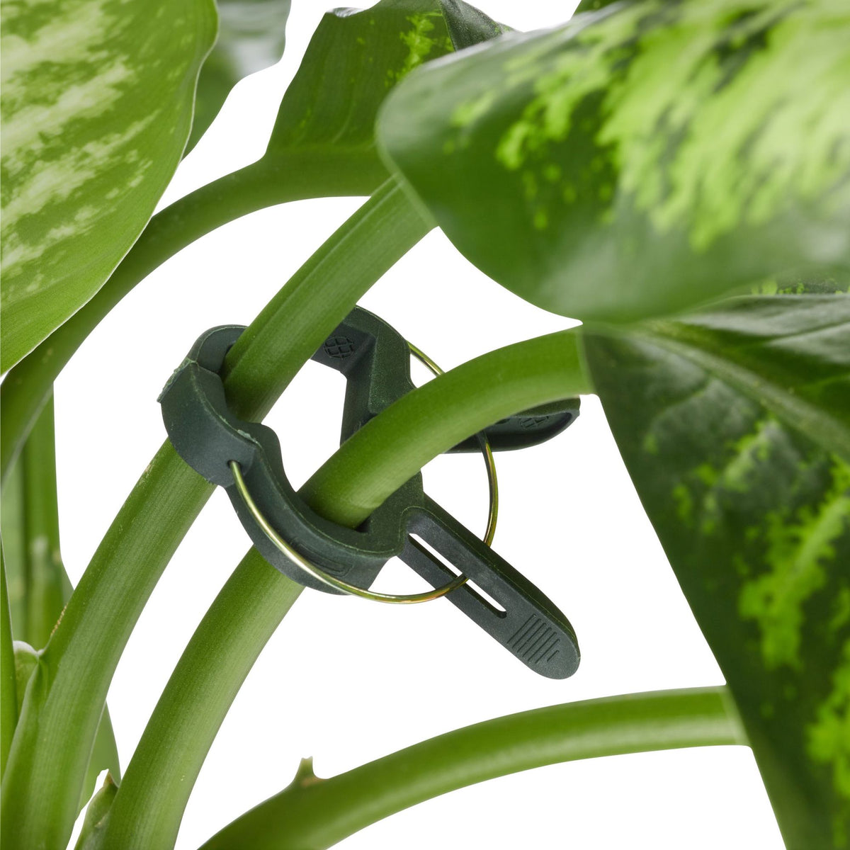Plant support set with 110 parts