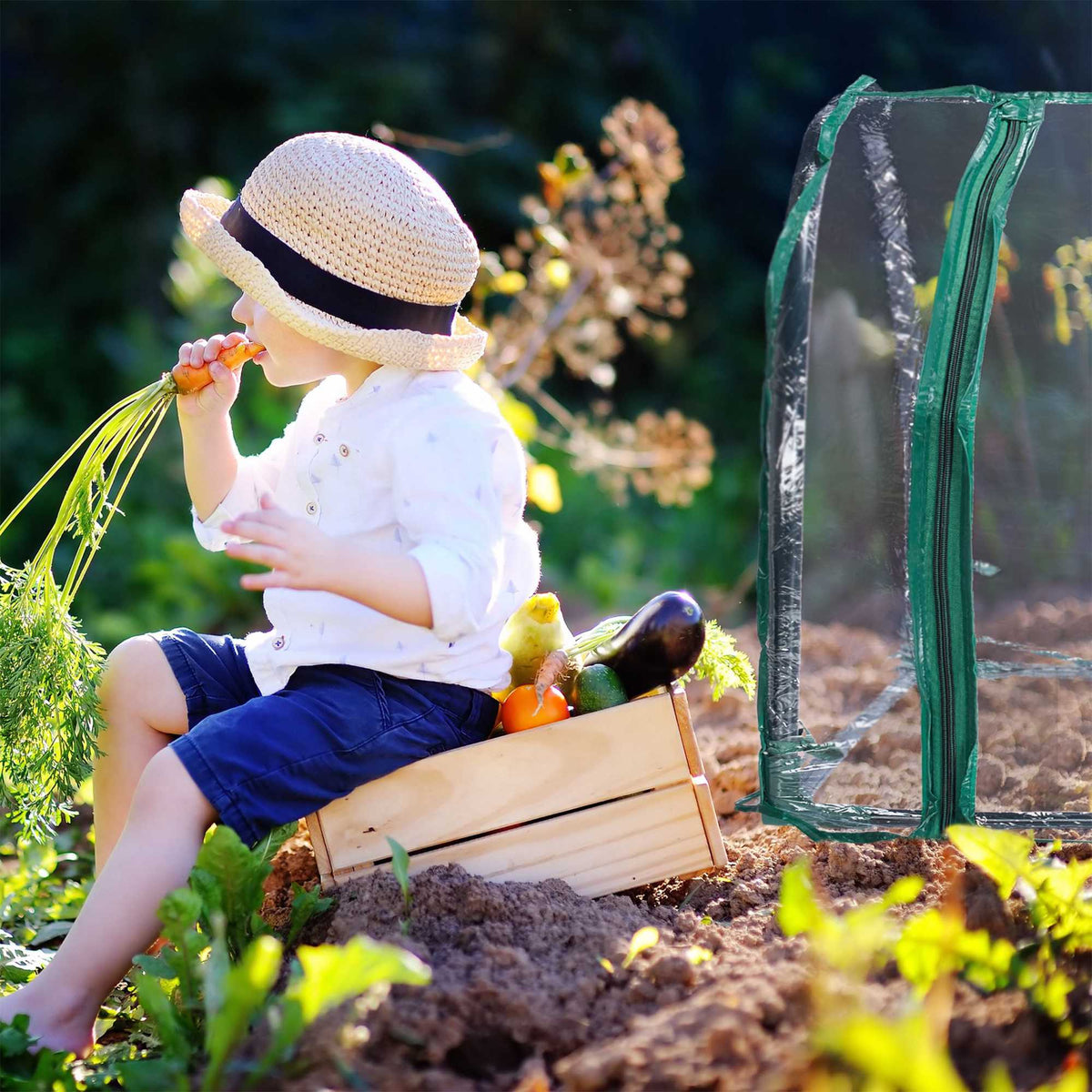 Plastic garden greenhouse tent