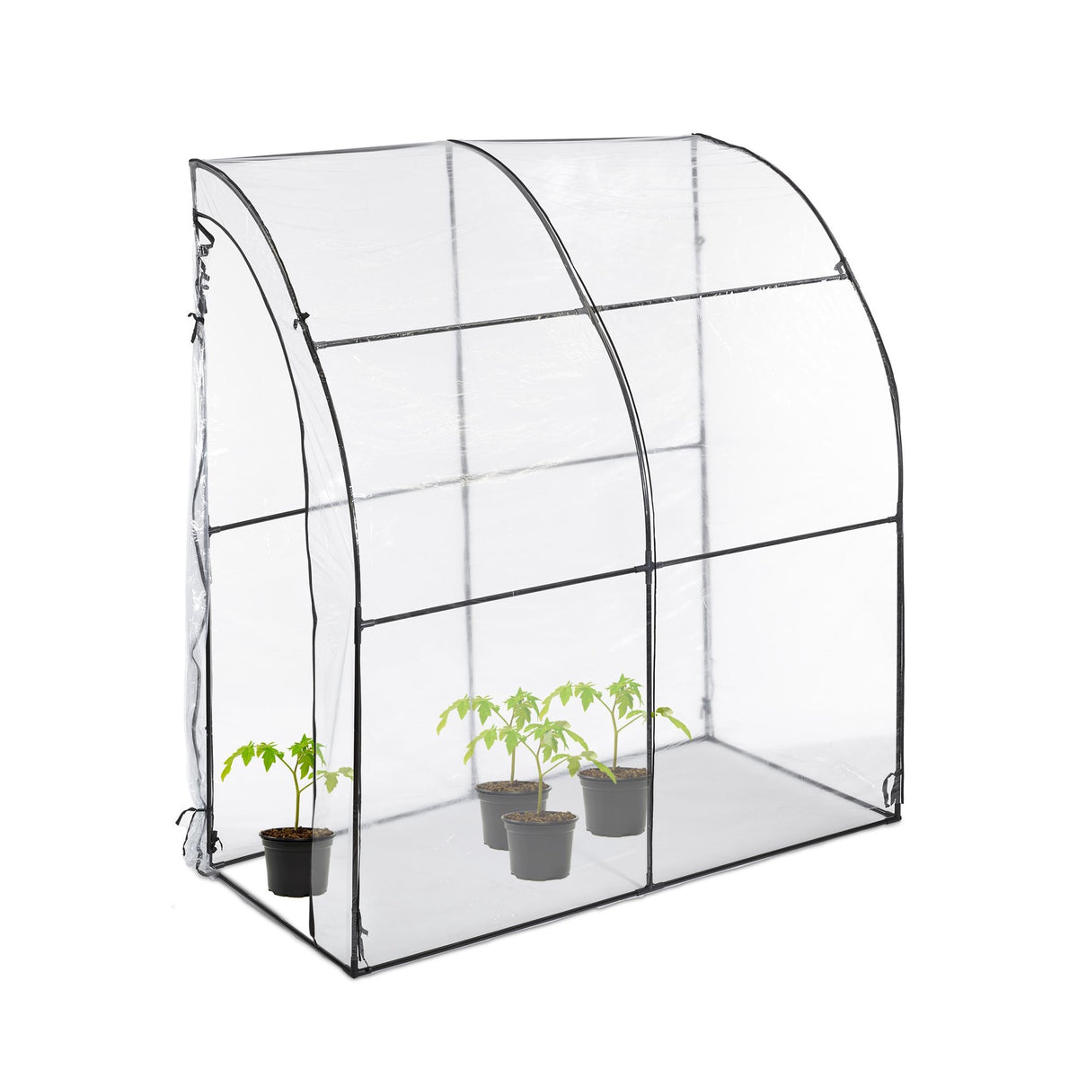 Plastic tomato greenhouse