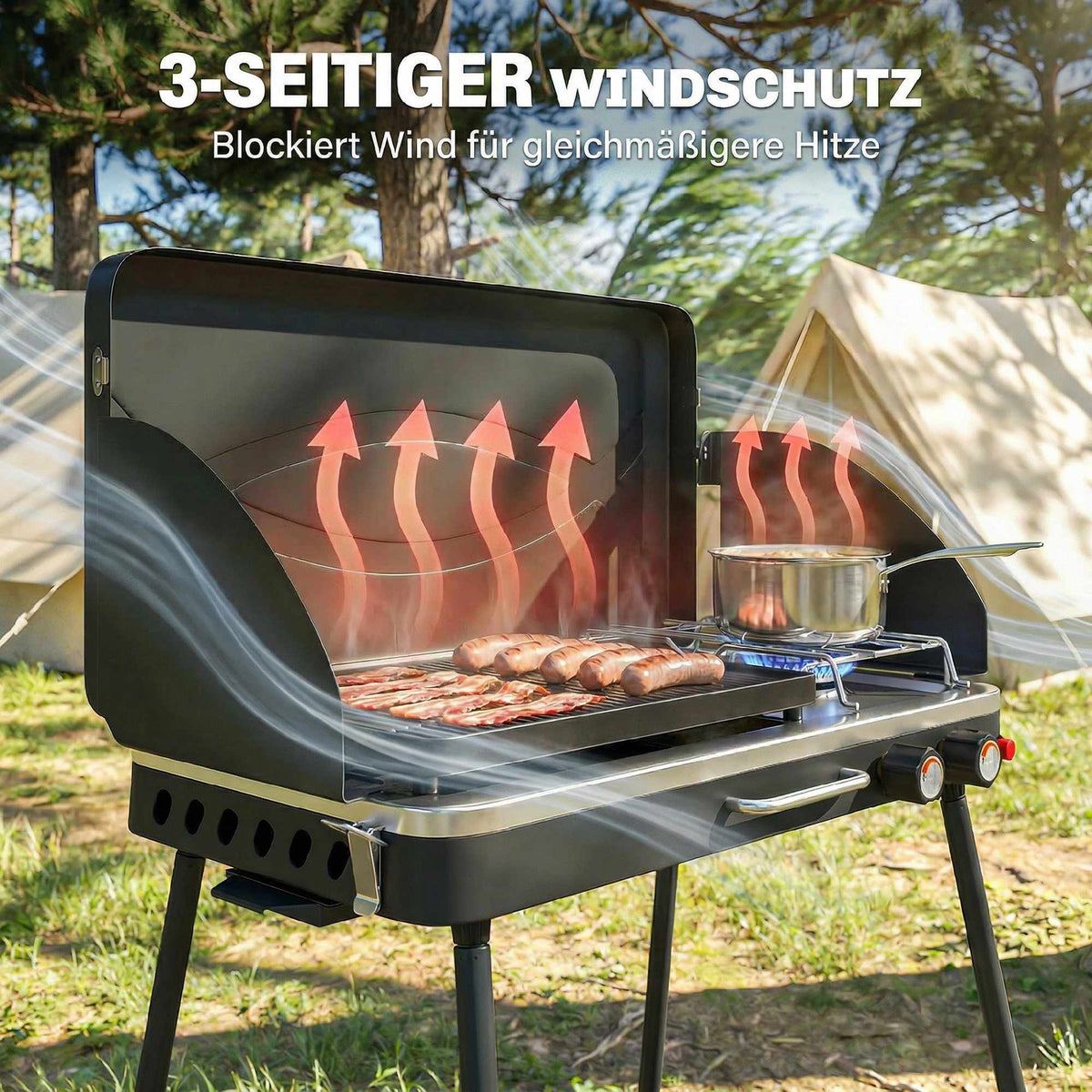 Portable 2-Burner Gas Grill, 7 kW, Tabletop Convertible