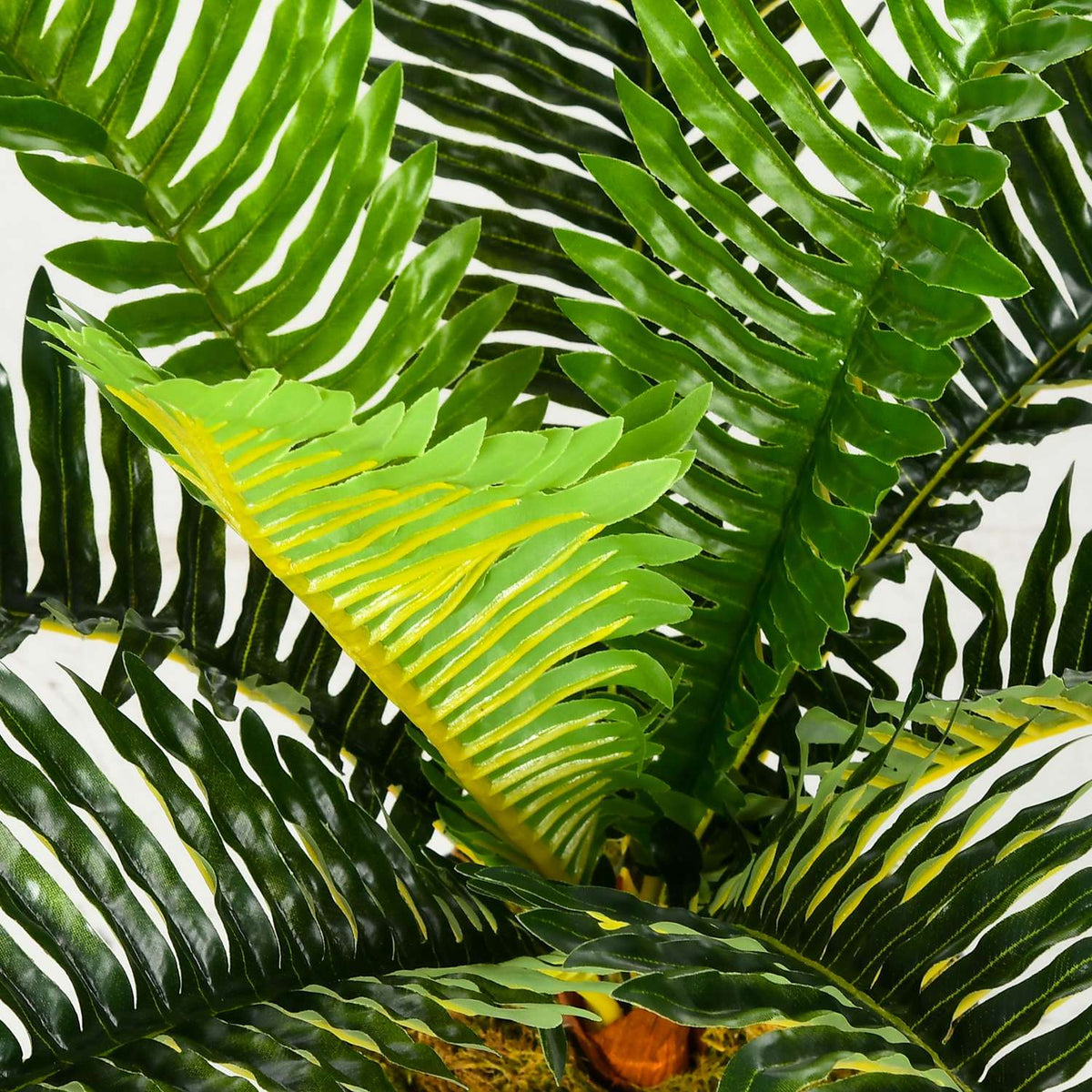 Pot 50cm Indoor Plant Green Living Room & Bedroom