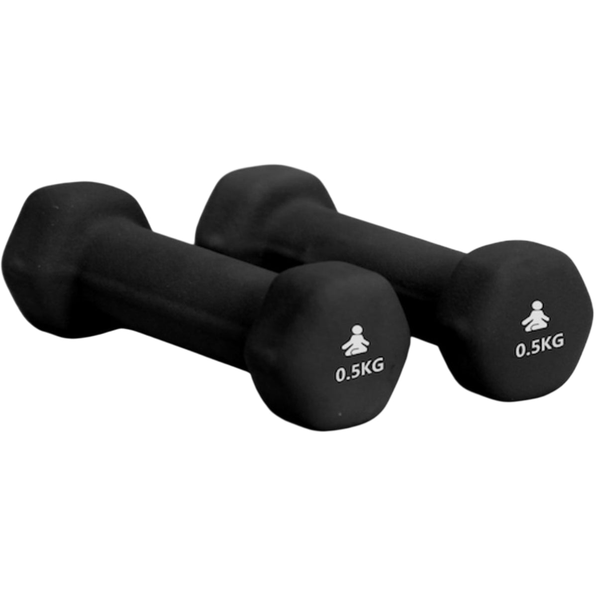 Premium Dumbbells 2 x 0.5 kg