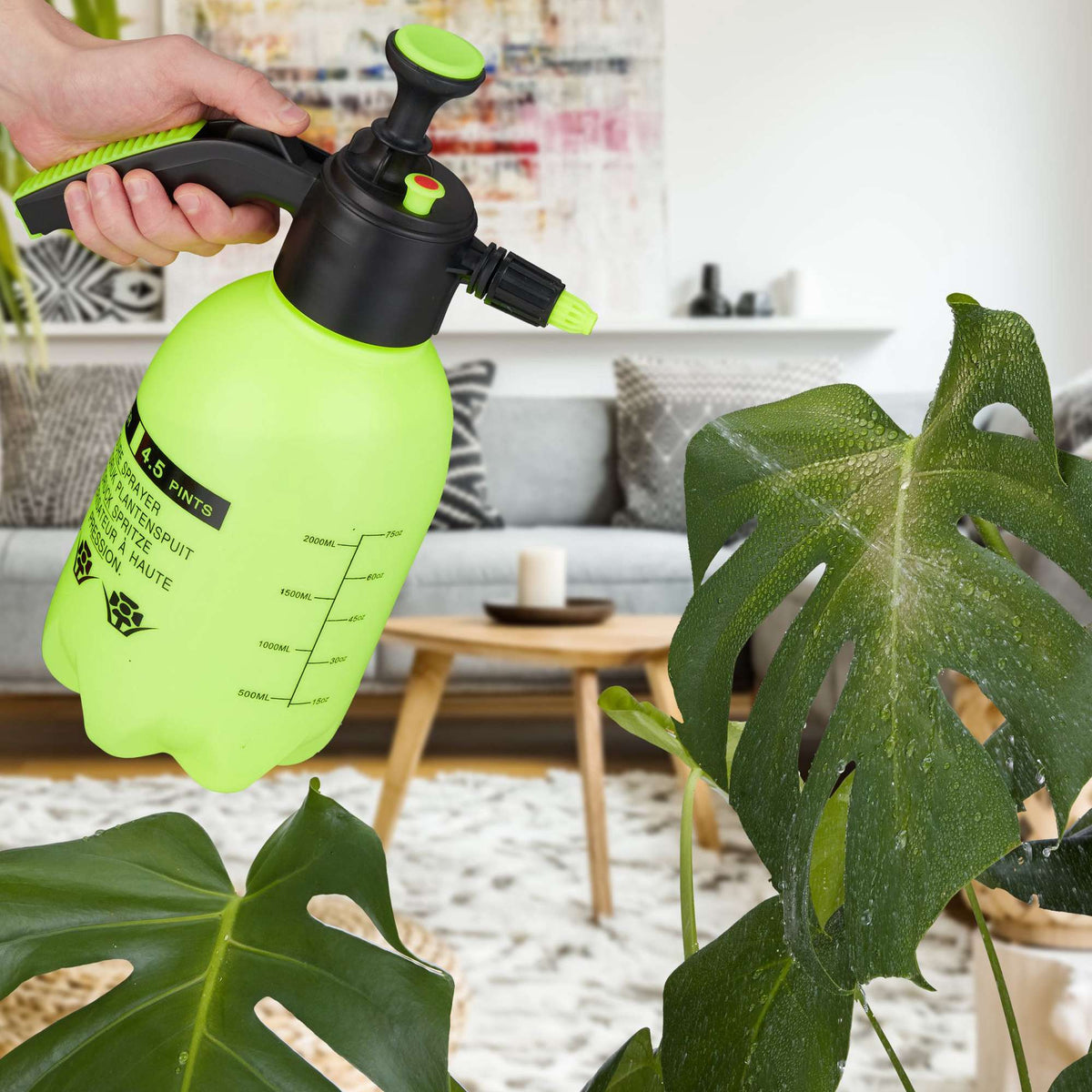 Pressure sprayer 2 liters green