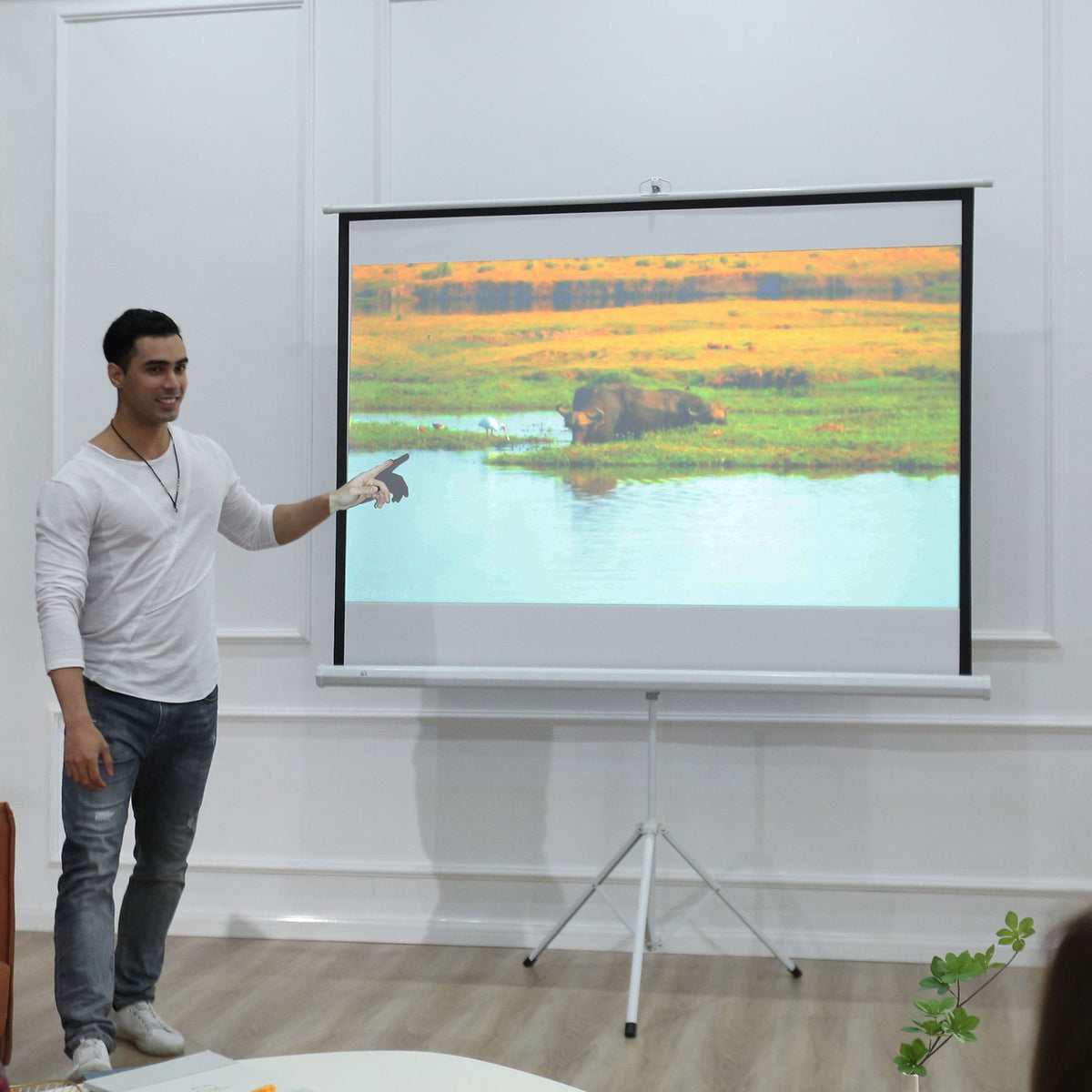 Projector screen with tripod, 4:3 projection screen, 84 inch foldable presentation wall 171 x 131 cm, height adjustable screen for home, school, meeting
