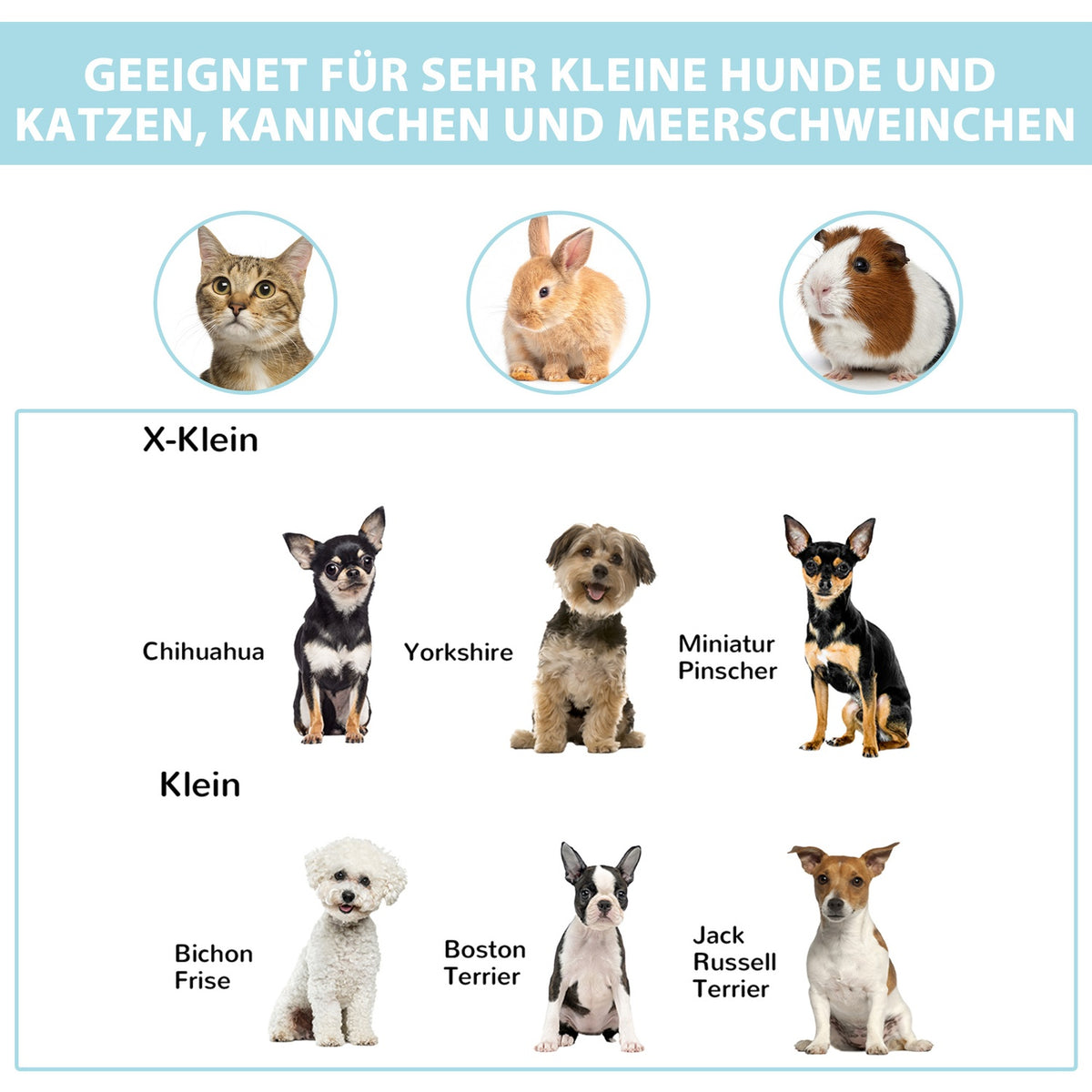 Puppy Playpen Animal Playpen Foldable, Puppy Run Outdoor Enclosure, Waterproof, Portable, 118X118X62Cm