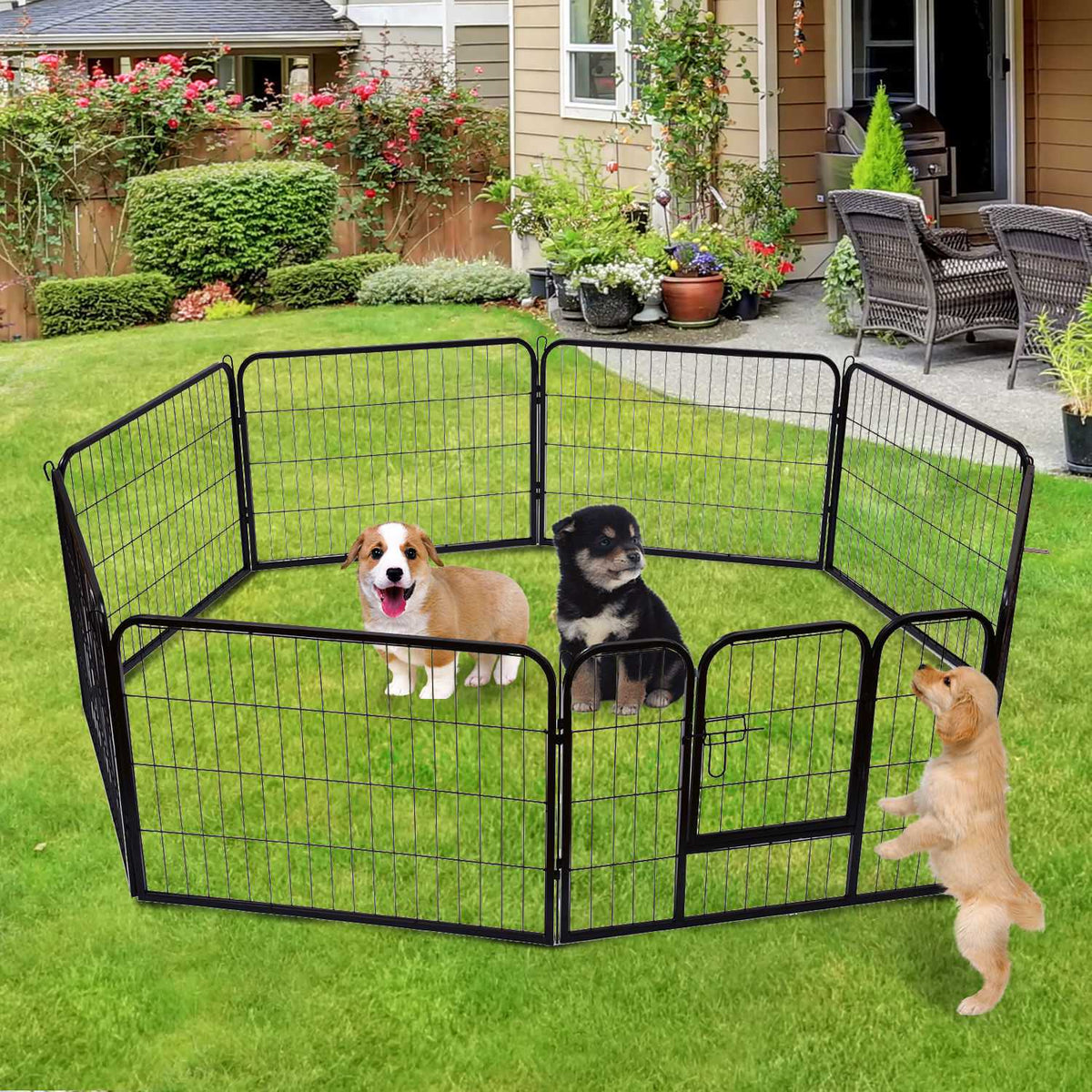 Puppy Run Puppy Outdoor Enclosure, Outdoor Enclosure Playpen, Playpen Puppy Fence, 60X80Cm