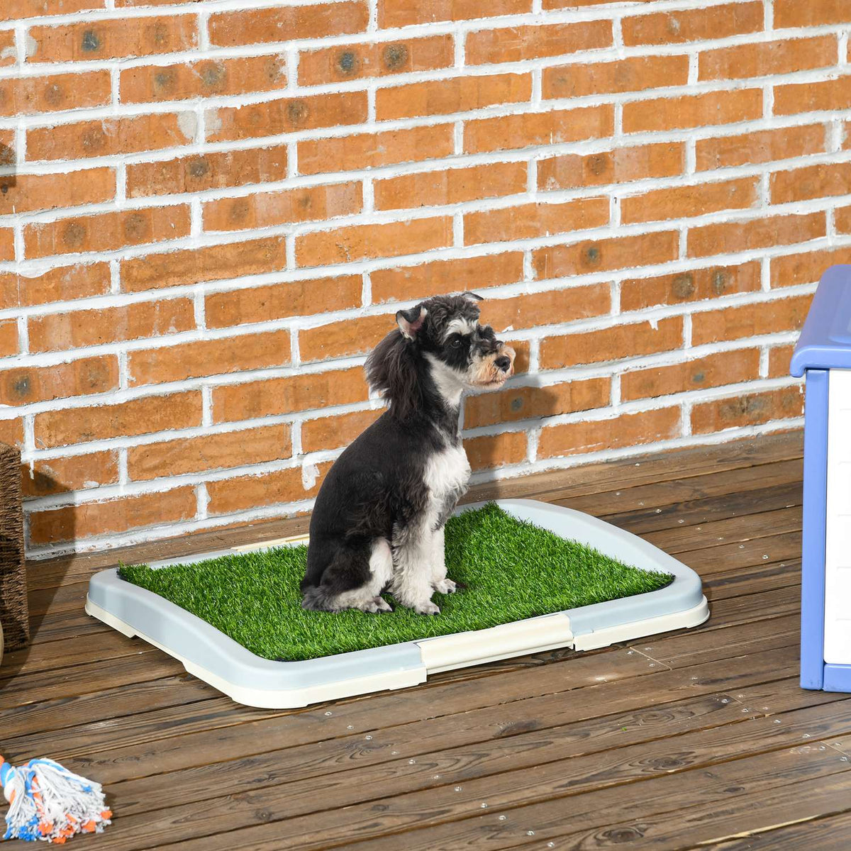 Puppy Toilet Dog Toilet Artificial Grass Dog Toilet Blue 63X48.5Cm