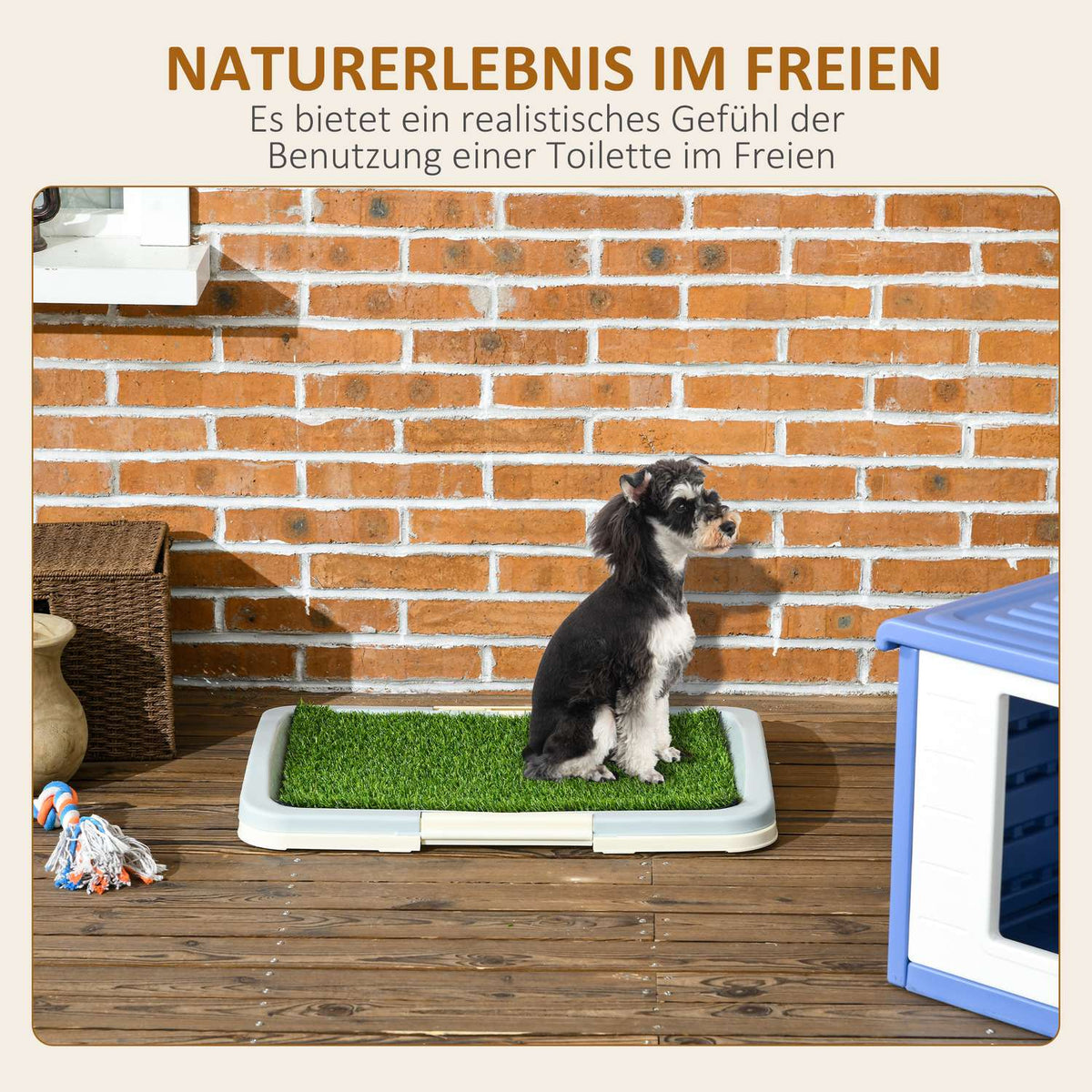 Puppy Toilet Dog Toilet Artificial Grass Dog Toilet Blue 63X48.5Cm