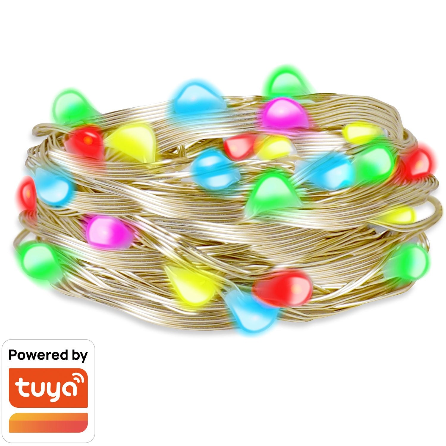 RGB light loop with remote control and WiFi Tuya IP65 5 m