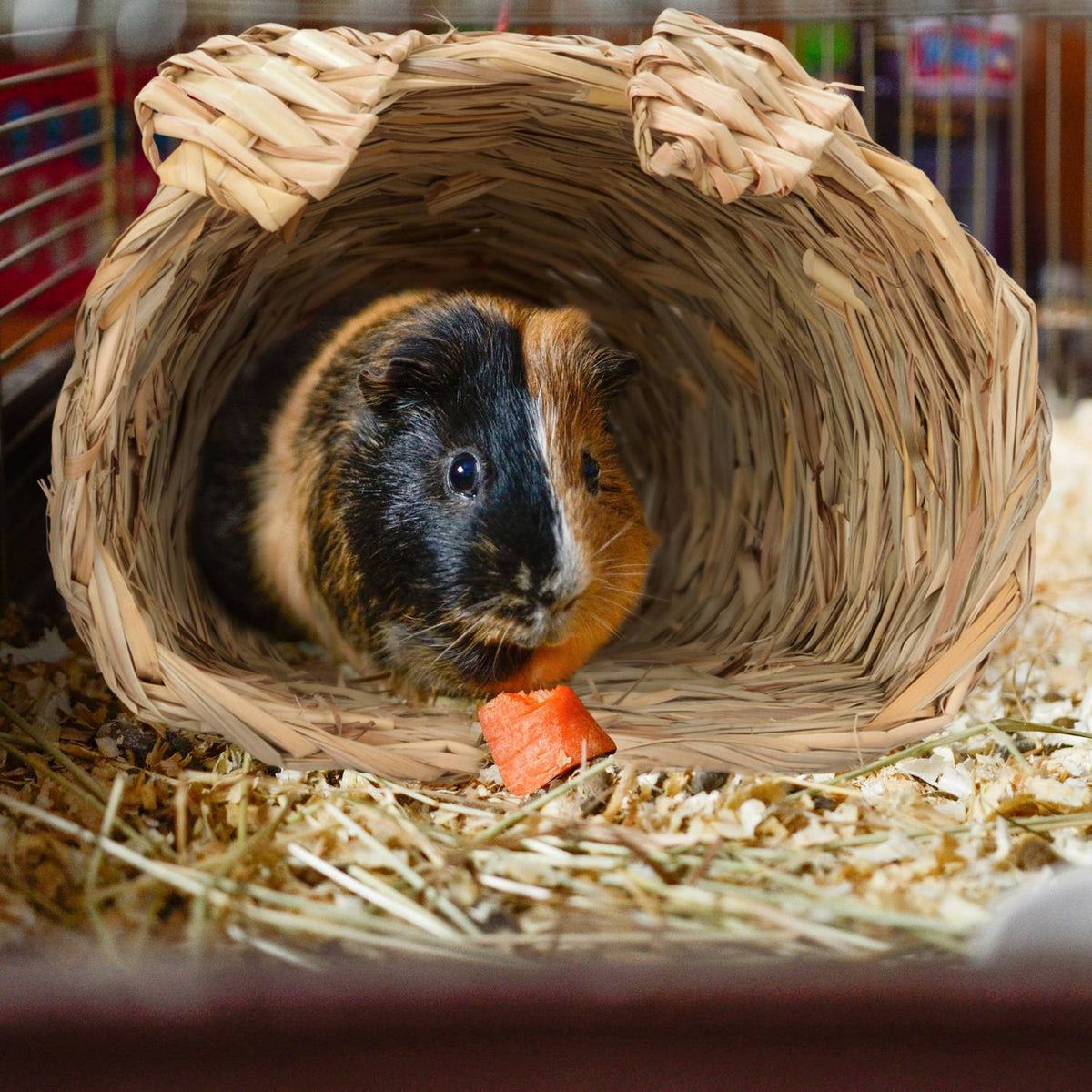 Rabbit house Set of 2 with toys