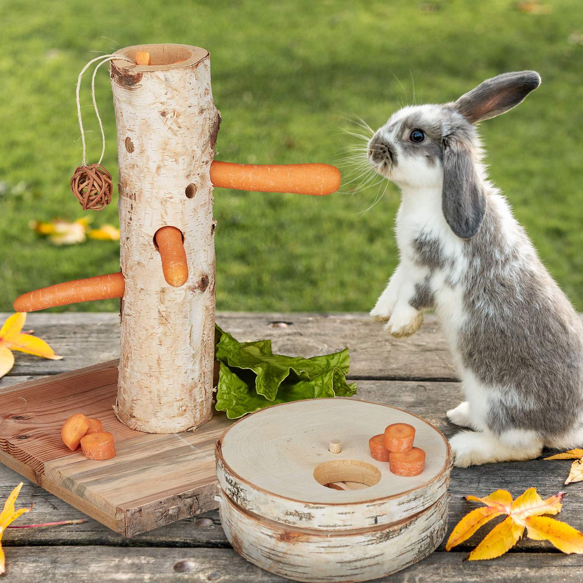 Rabbit toy in 2 parts