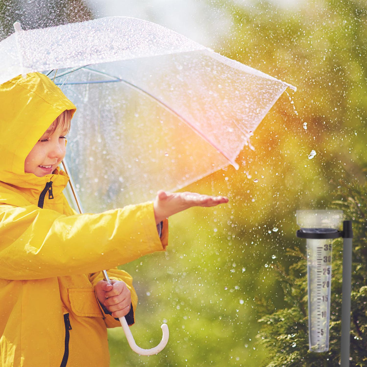 Rain gauge, set of 3