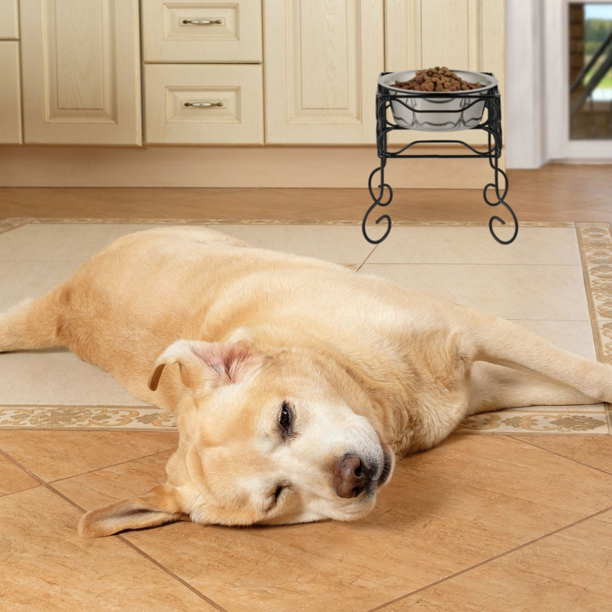 Raised Dog Bowl Stand, 1500 ml, Stainless Steel