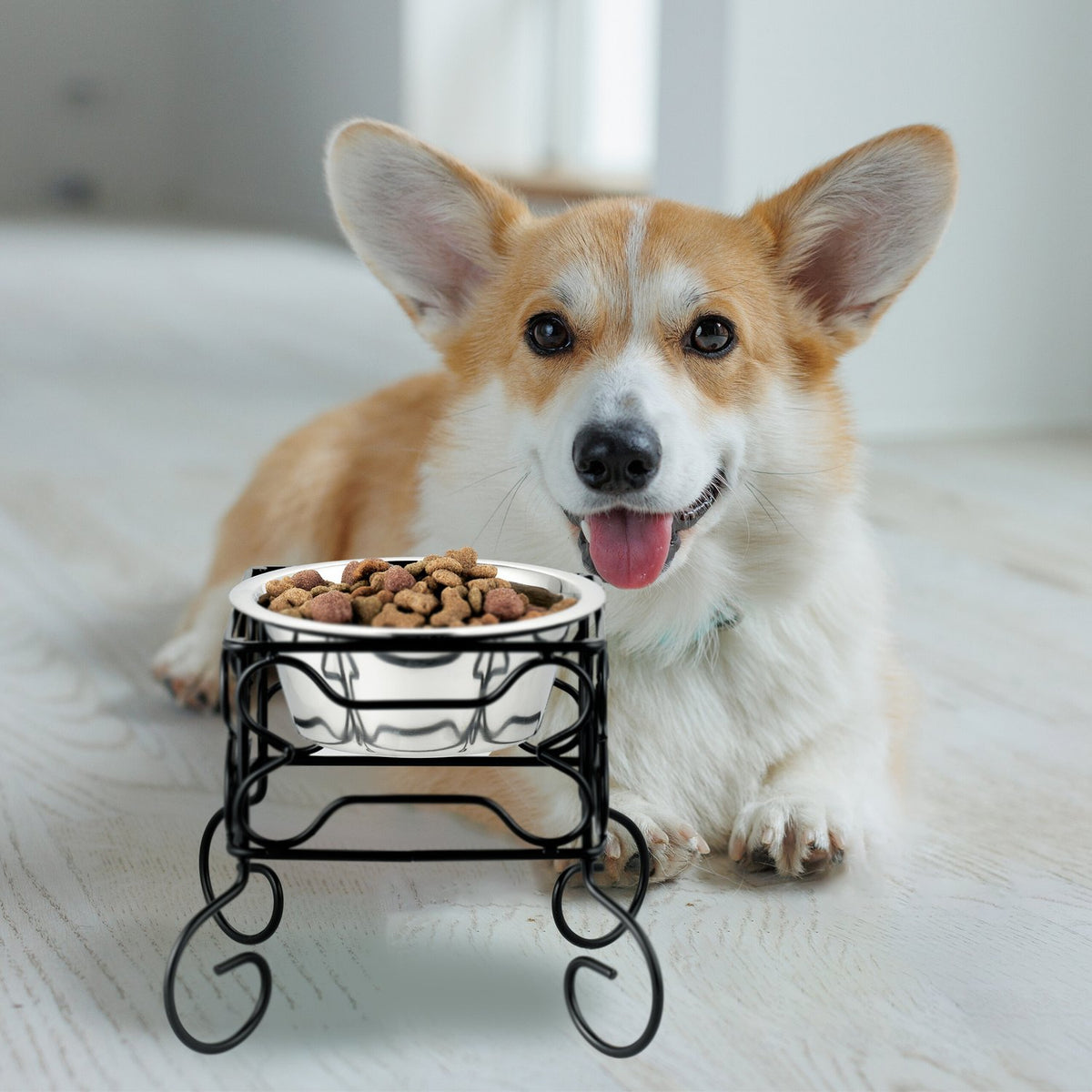 Raised Dog Bowl Stand, 700ml Stainless Steel