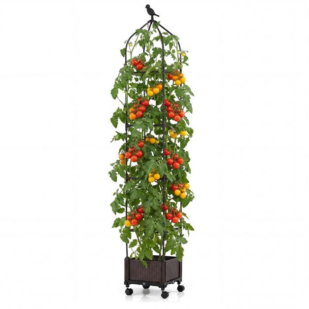 Raised Garden Bed With Obelisk Trellis, Self-Watering