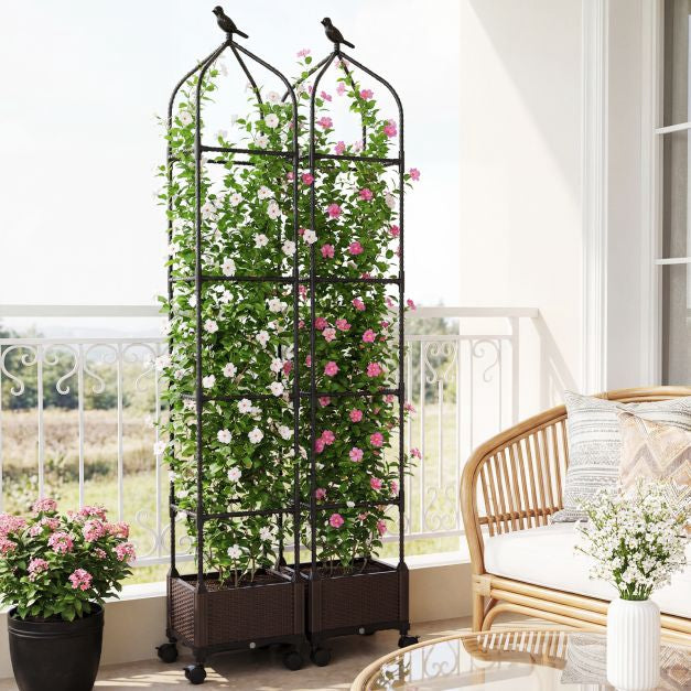 Raised Garden Bed With Obelisk Trellis, Self-Watering