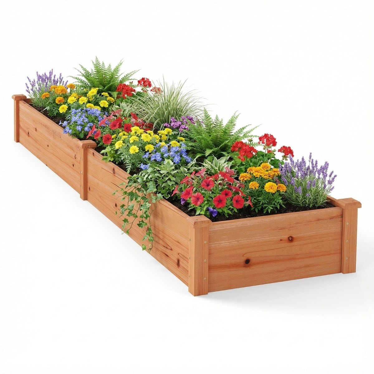 Raised Garden Bed, Wood, 240x60x25 cm, Open Bottom