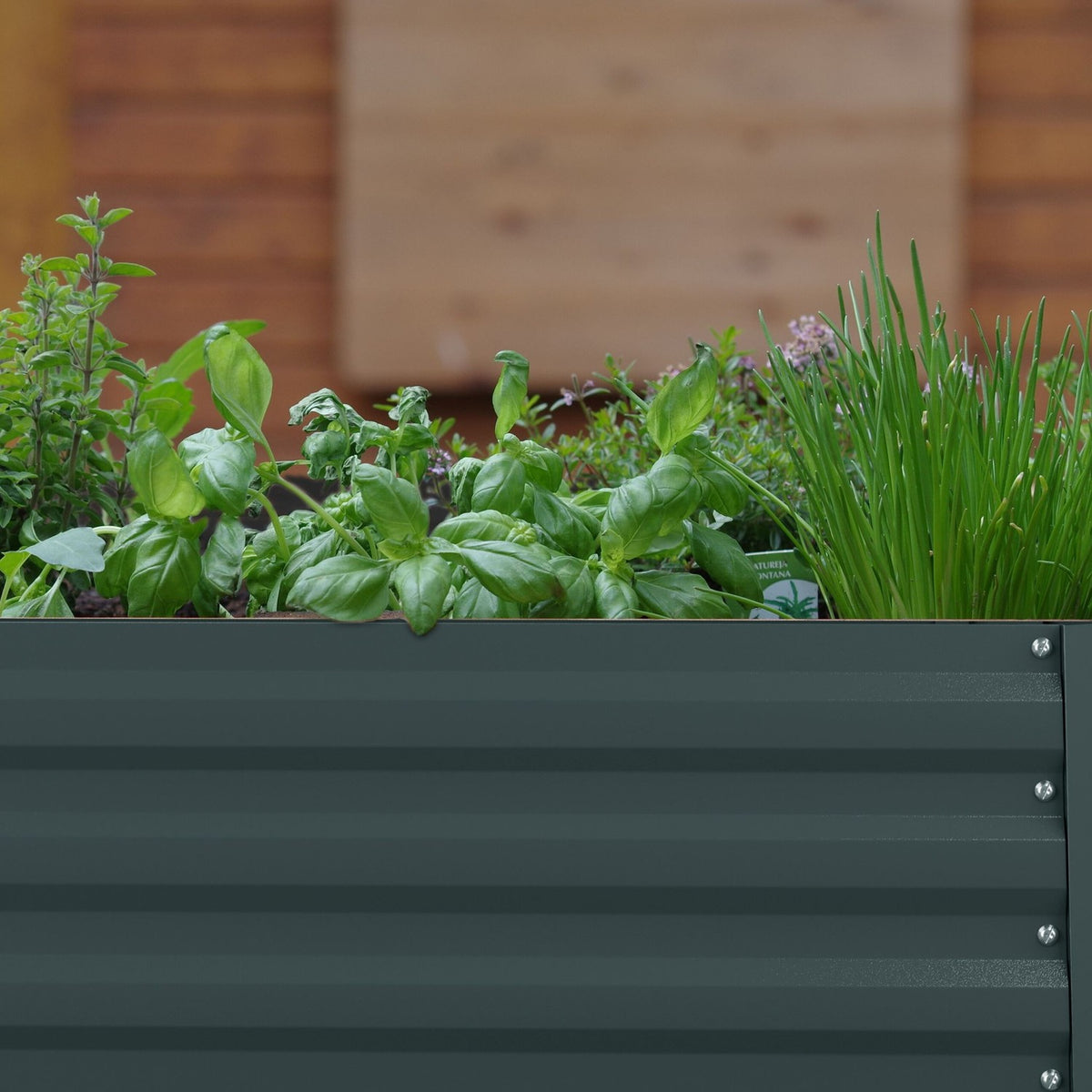 Raised Metal Flower Bed for Vegetables and Herbs