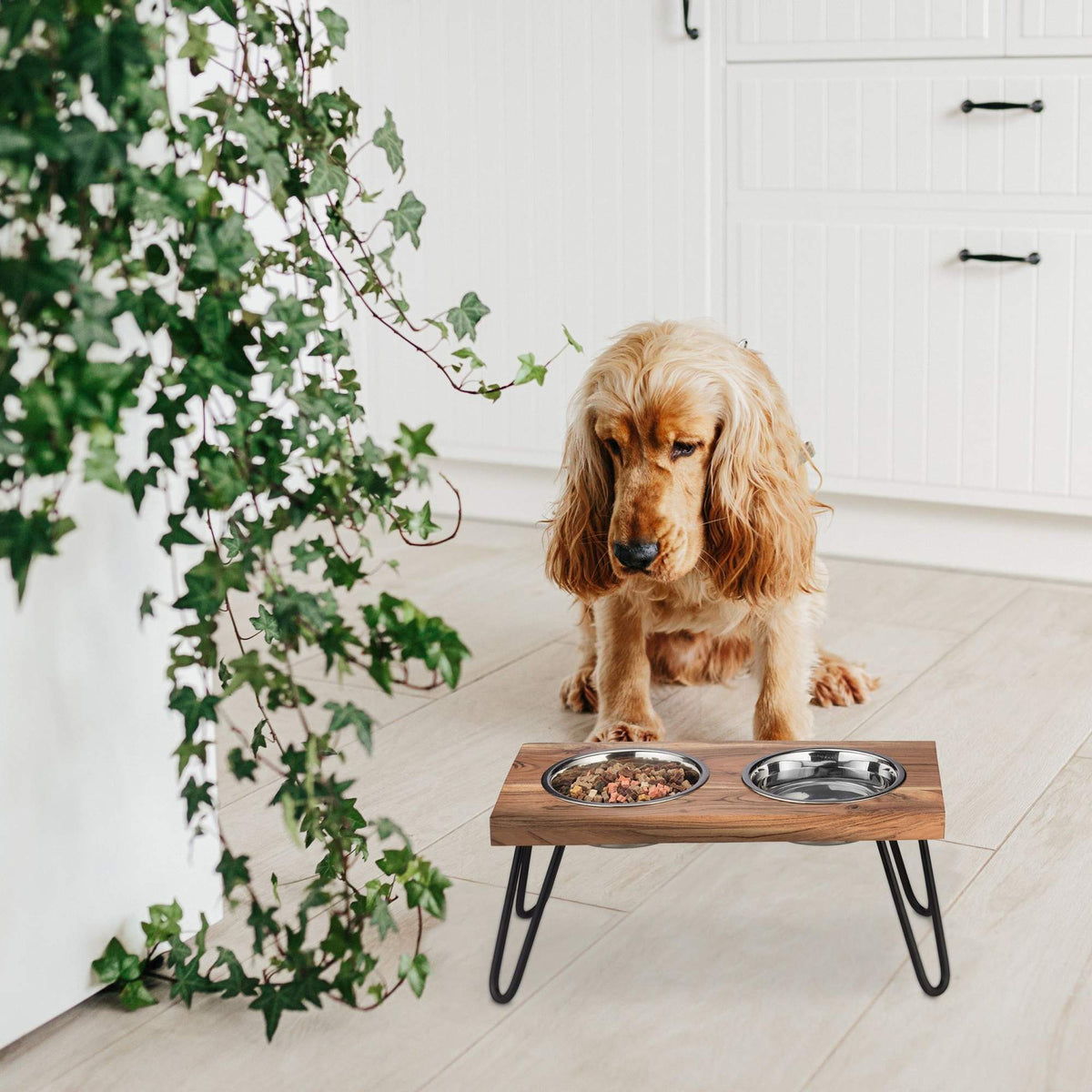 Raised XL dog bowl made from acacia wood