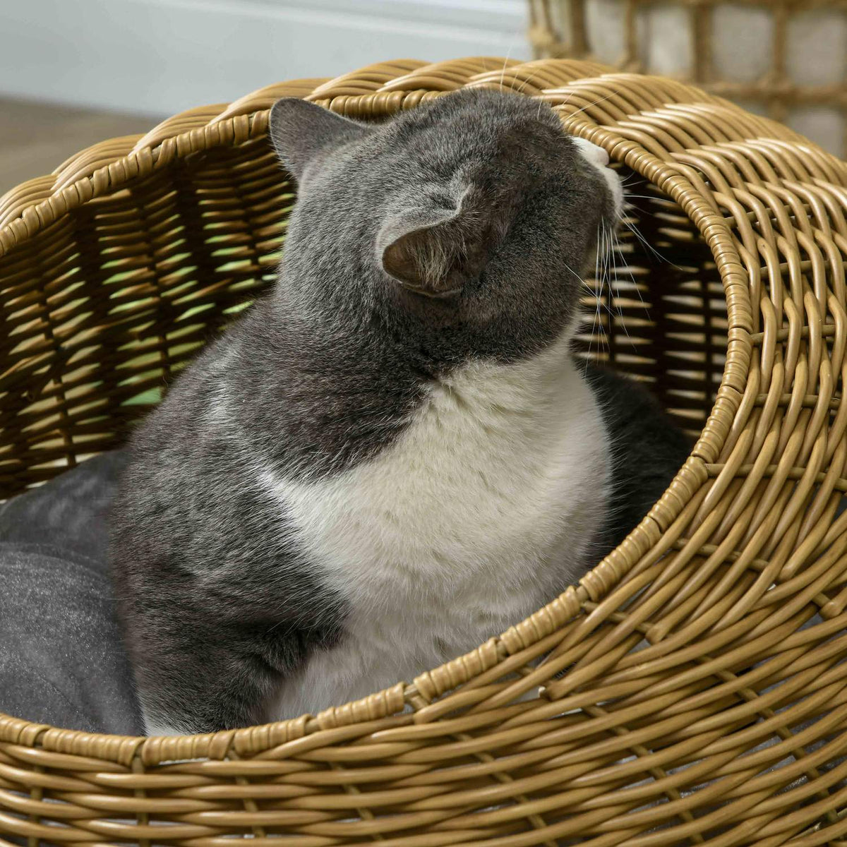 Rattan cat basket, cat house, cat house with cushion for cats up to 4 kg, pet bed, cat cave, indoor, PE rattan, Ø50 x 31 cm, light brown
