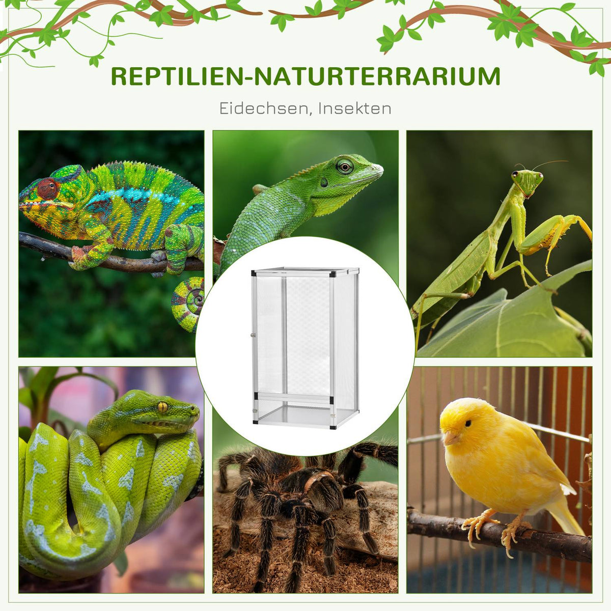 Reptile Box Breeding Box For Reptiles Amphibians Arachnids Reptile Breeding Box Reptile Breeding Pool Aluminum Silver 45 X 45 X 80 Cm