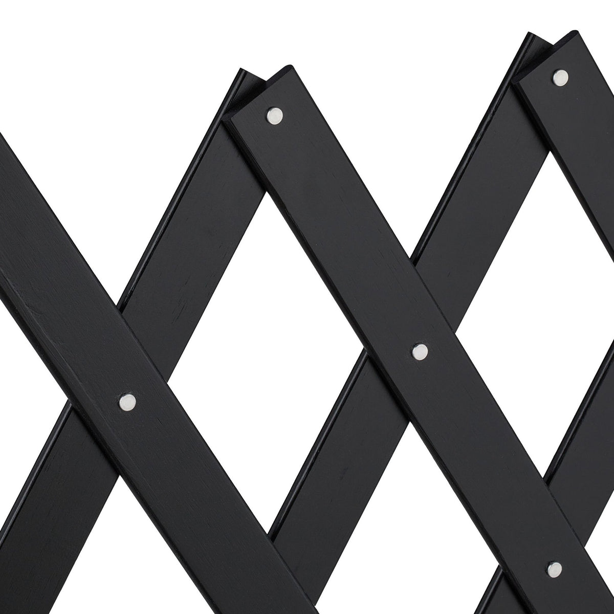 Retractable dog grid Black