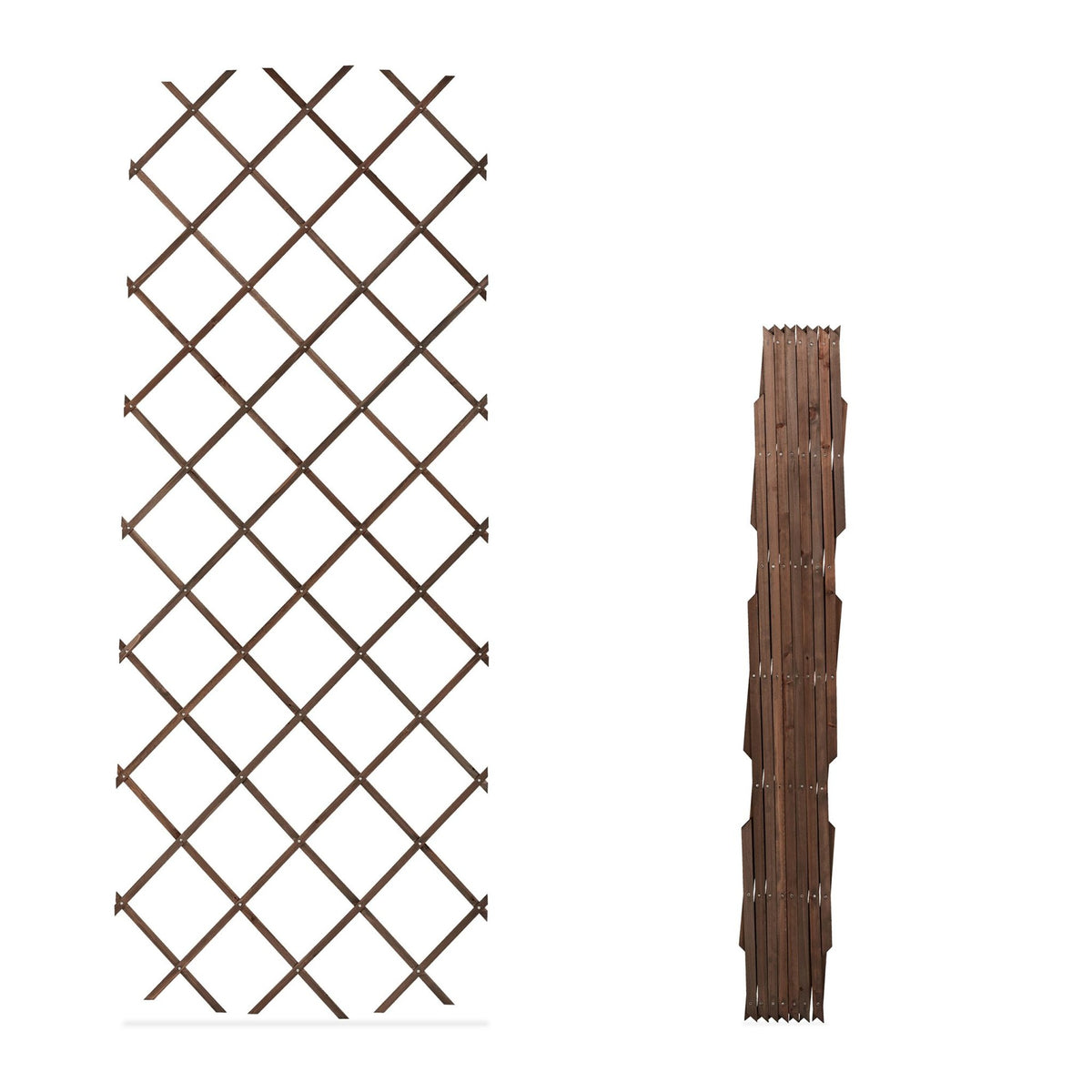 Retractable trellis set of 3