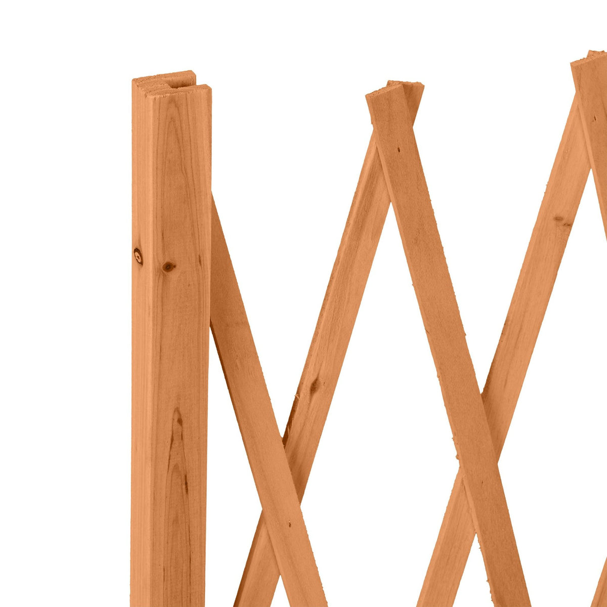 Retractable wooden trellis