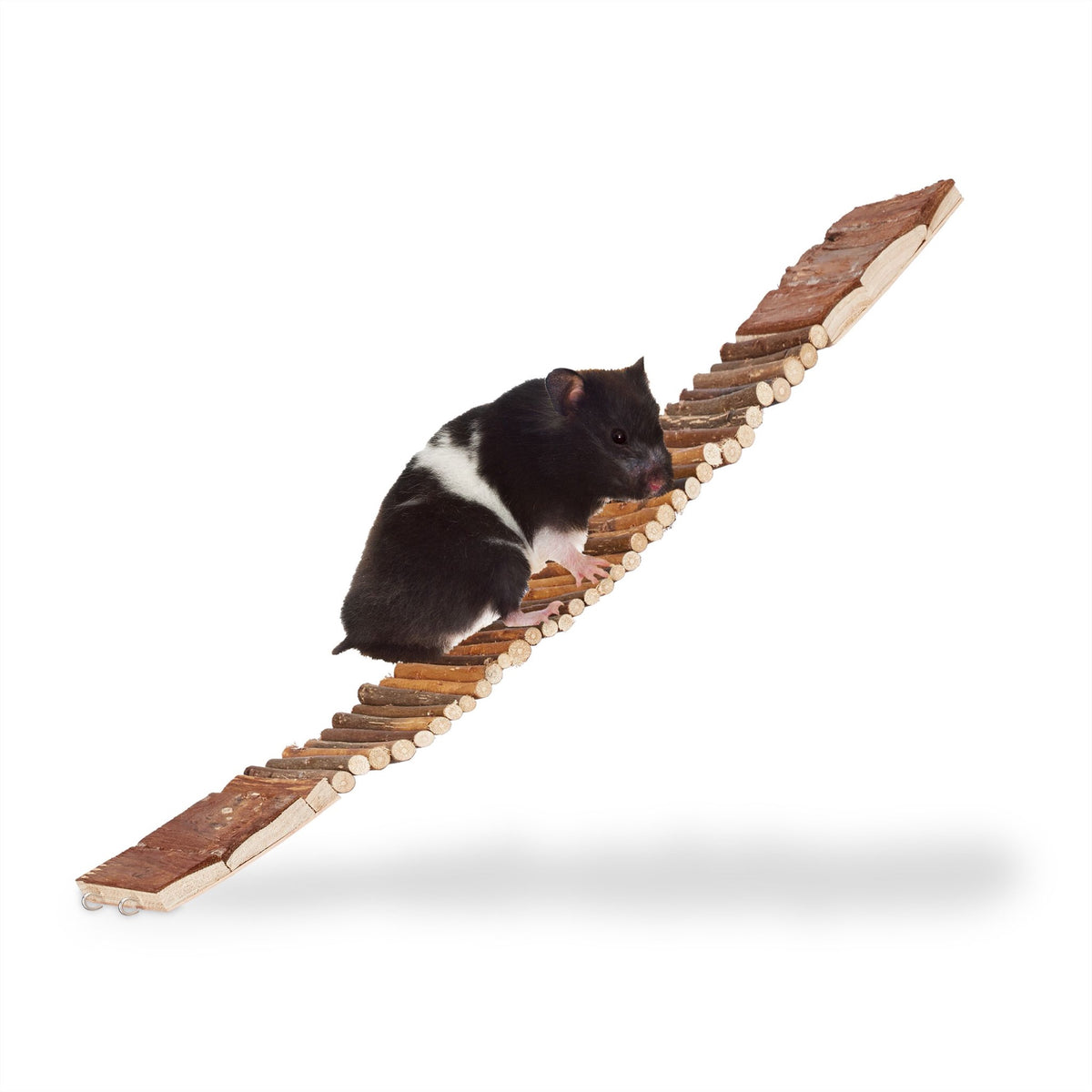 Rodent on suspension bridge