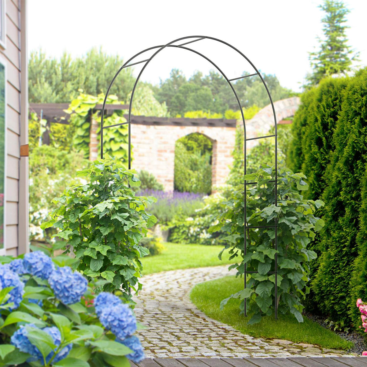 Rose Arch Metal Arch Garden Arch Climbing Plants Black 140 X 40 X 240 Cm