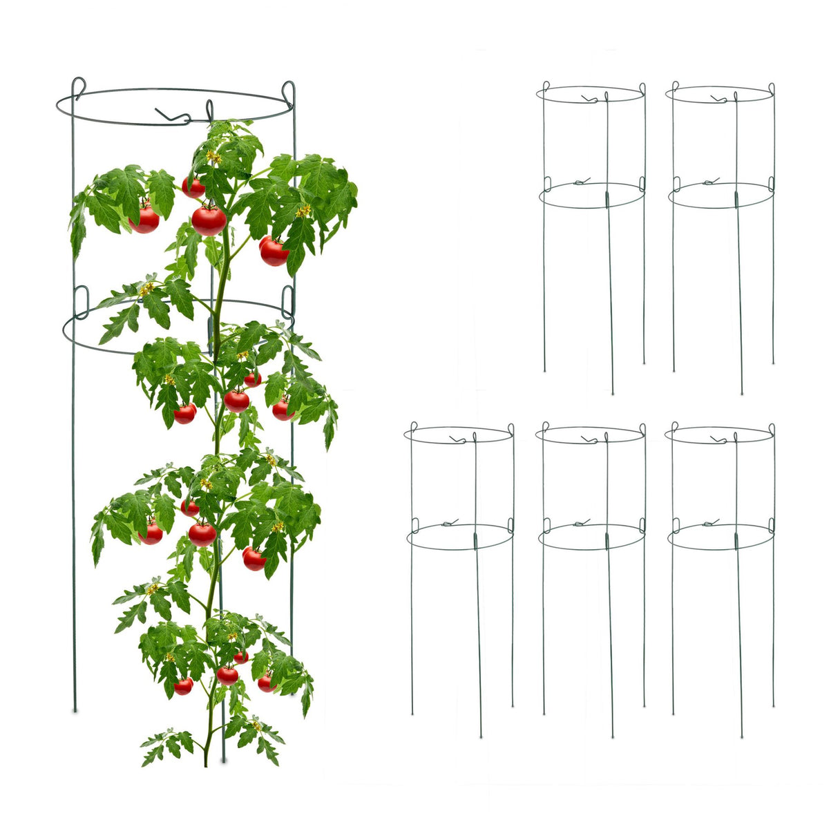 Round climbing supports in a set of 6