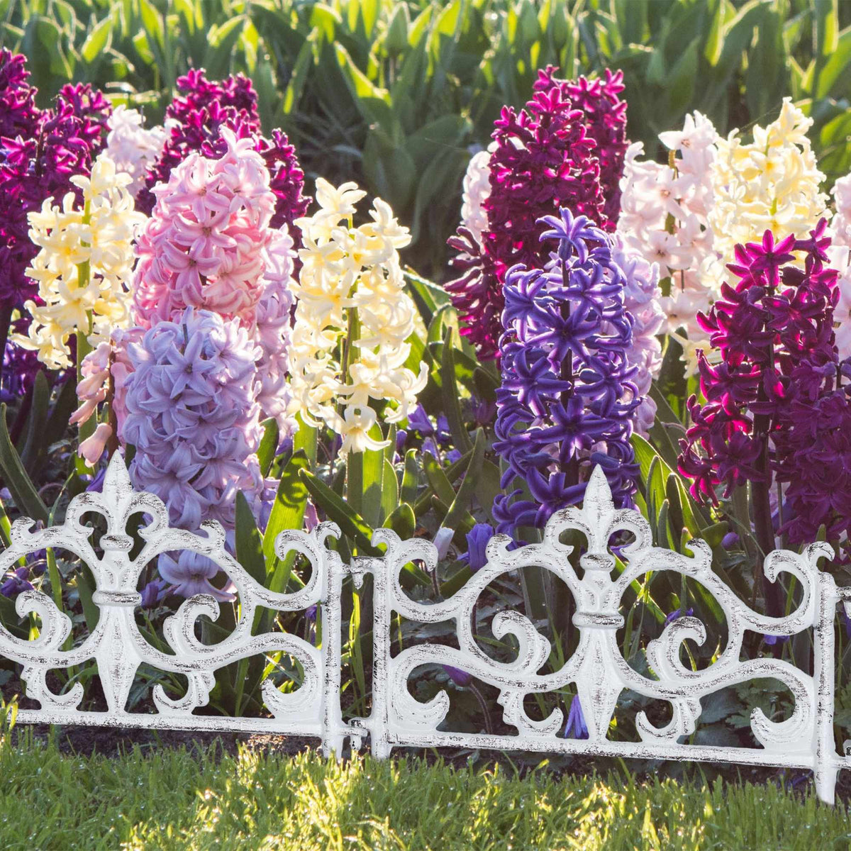 Round rolling plate for potted plants