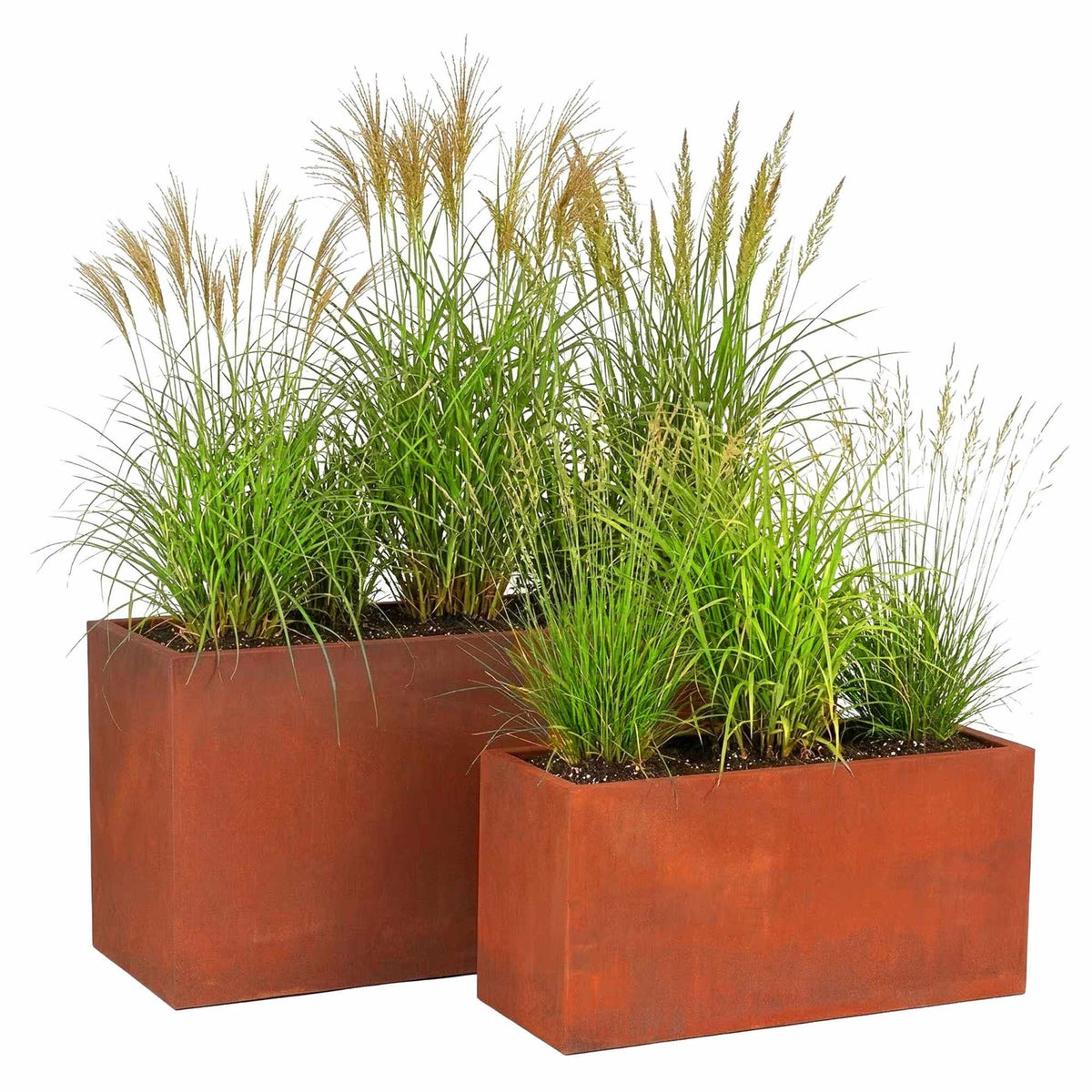 Rust-Look Carbon Steel Planters Set of 2