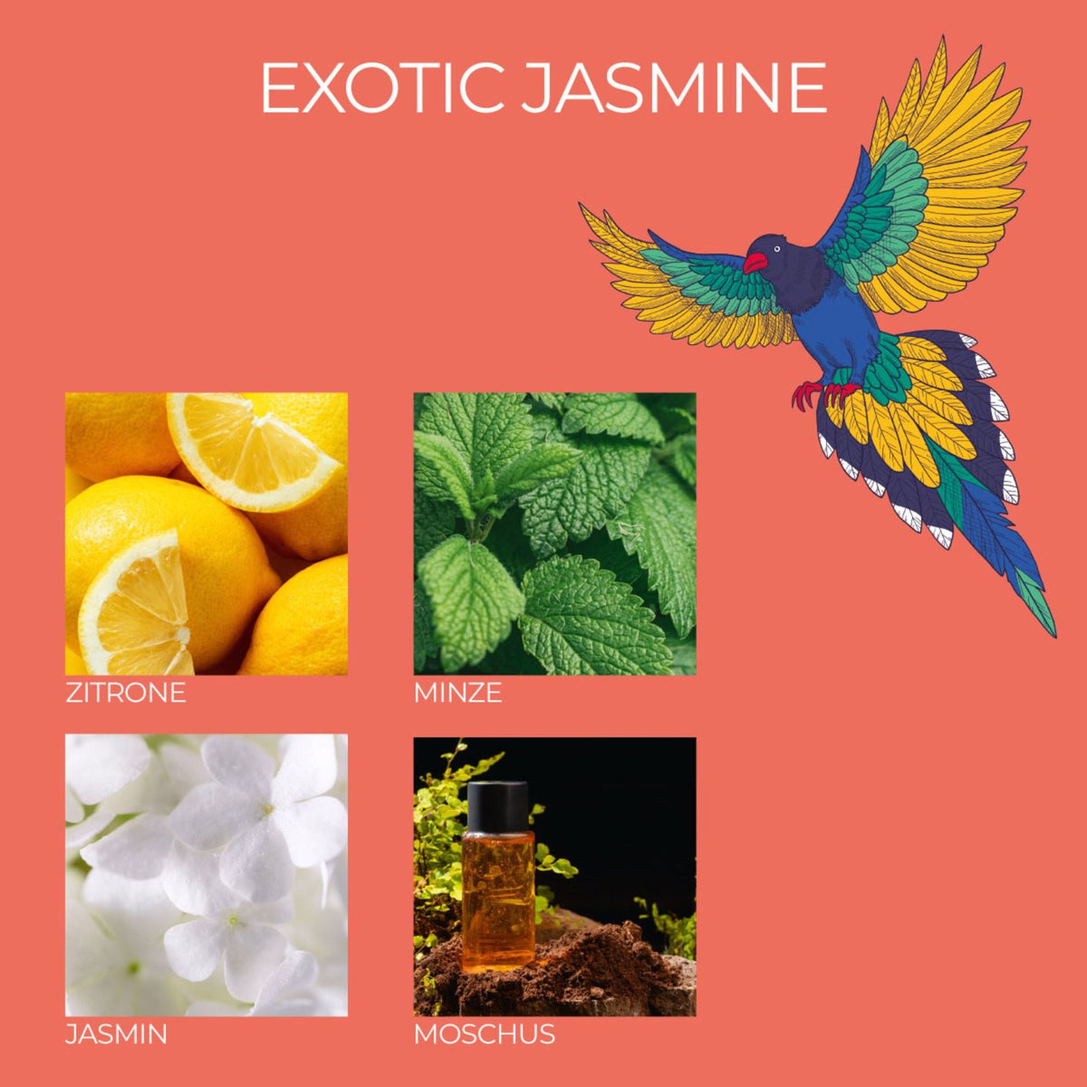 Scented Candle Trio – 3 Unique Fragrances, 3 x 70g