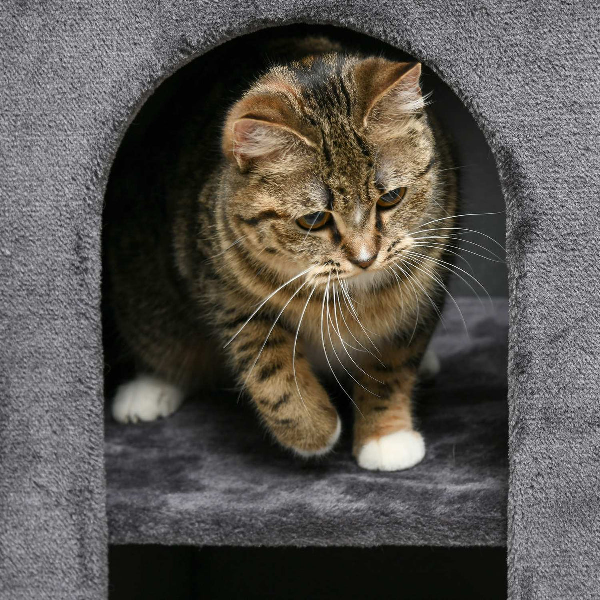 Scratching Barrel 81Cm Robust Cat Scratching Post With 2 Caves, Scratching Tower, 2 Levels For Cats Up To 6Kg In Dark Gray
