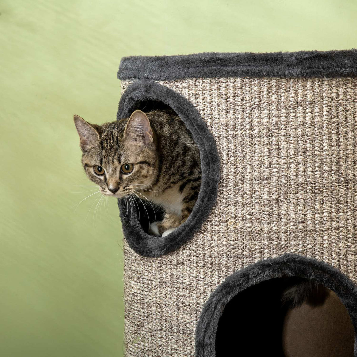 Scratching Barrel Play And Scratching Barrel For Cats With 3 Caves, Made Of Sisal & Plush, Gray, Ø38X70Cm