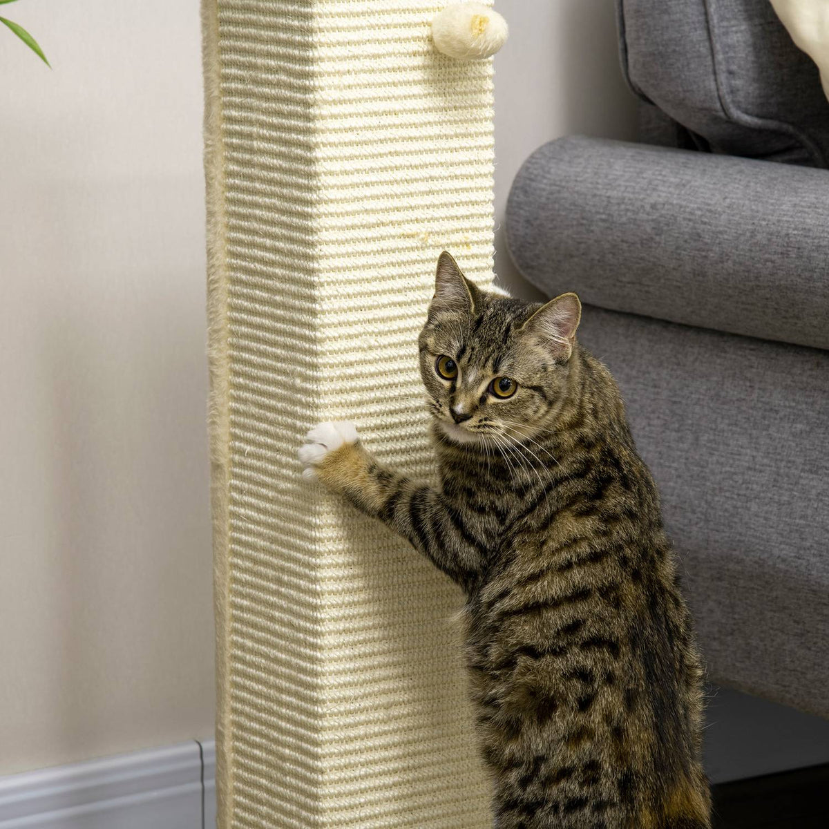 Scratching Post 80Cm High Scratching Post With Play Ball, Sisal Rope Scratching Post, Scratching Board, In Oak + Cream White, For Cats