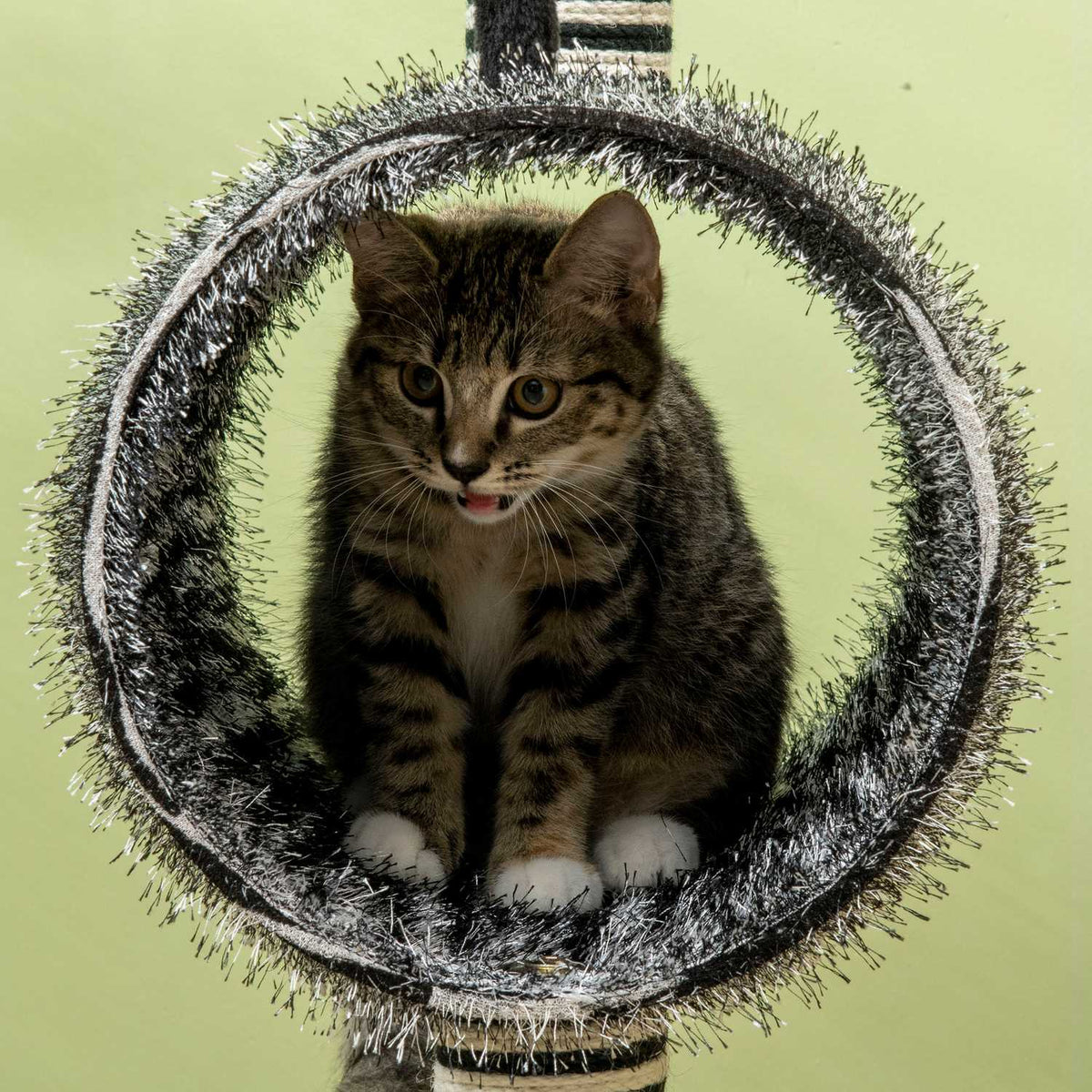 Scratching Post Cat Tree Zebra Design Climbing Tunnel Jute Post Black + White 93Cm