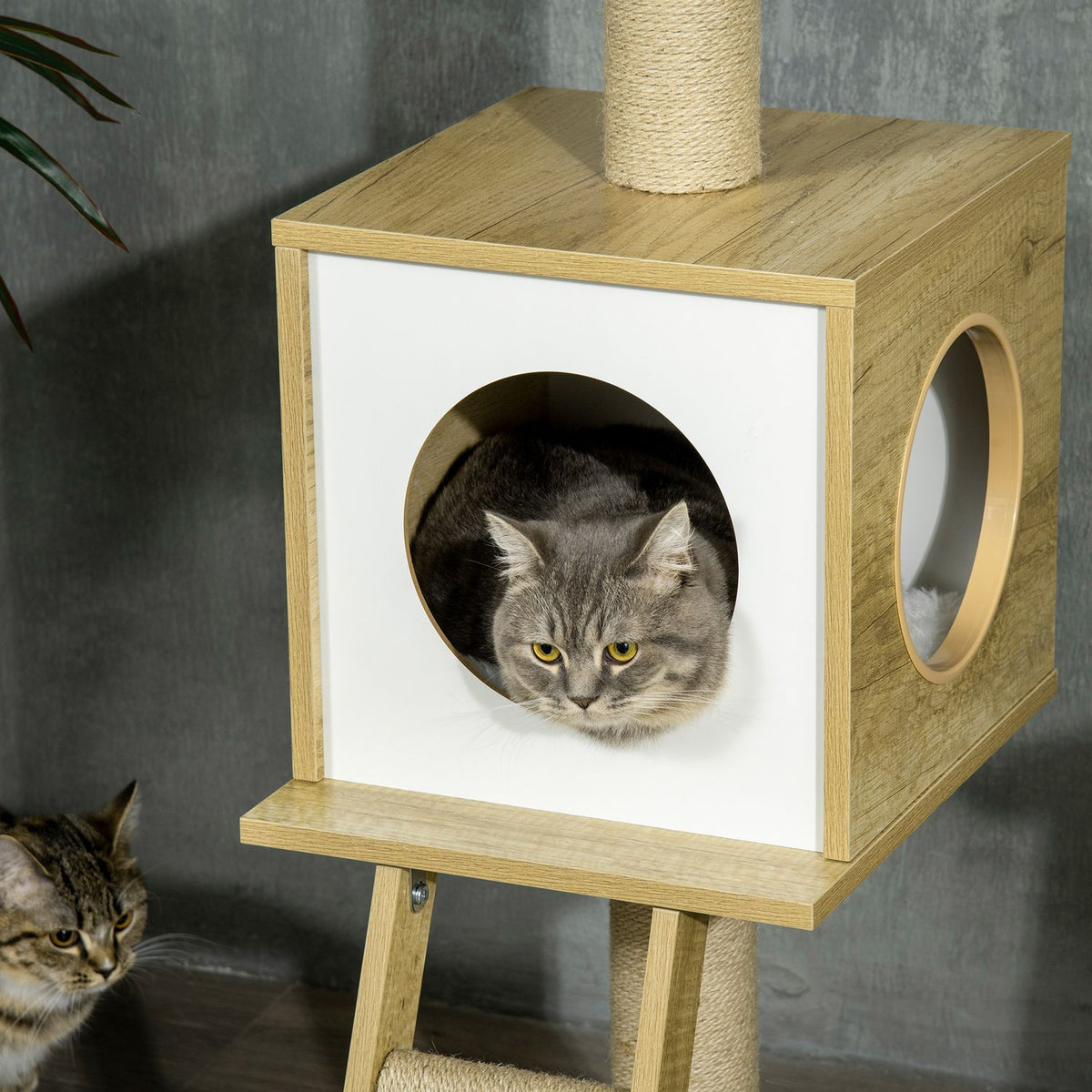 Scratching Post Ceiling High 240-260 Cm, With Cat House & Hammock, Light Brown + Beige