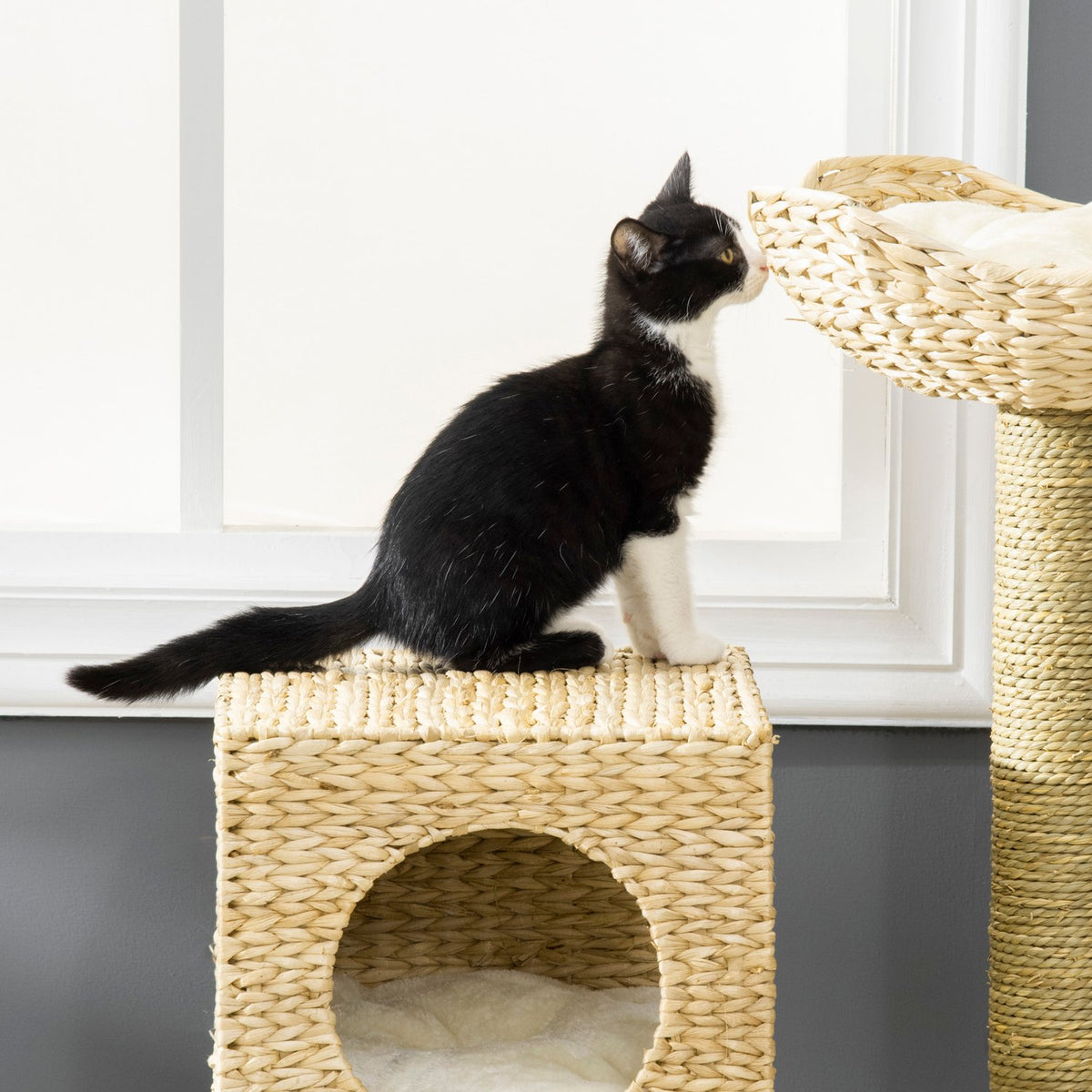 Scratching post 100.5H cm, cat tree with cat cave, bed, cat stairs with sisal scratching posts, cushion, for small cats, natural