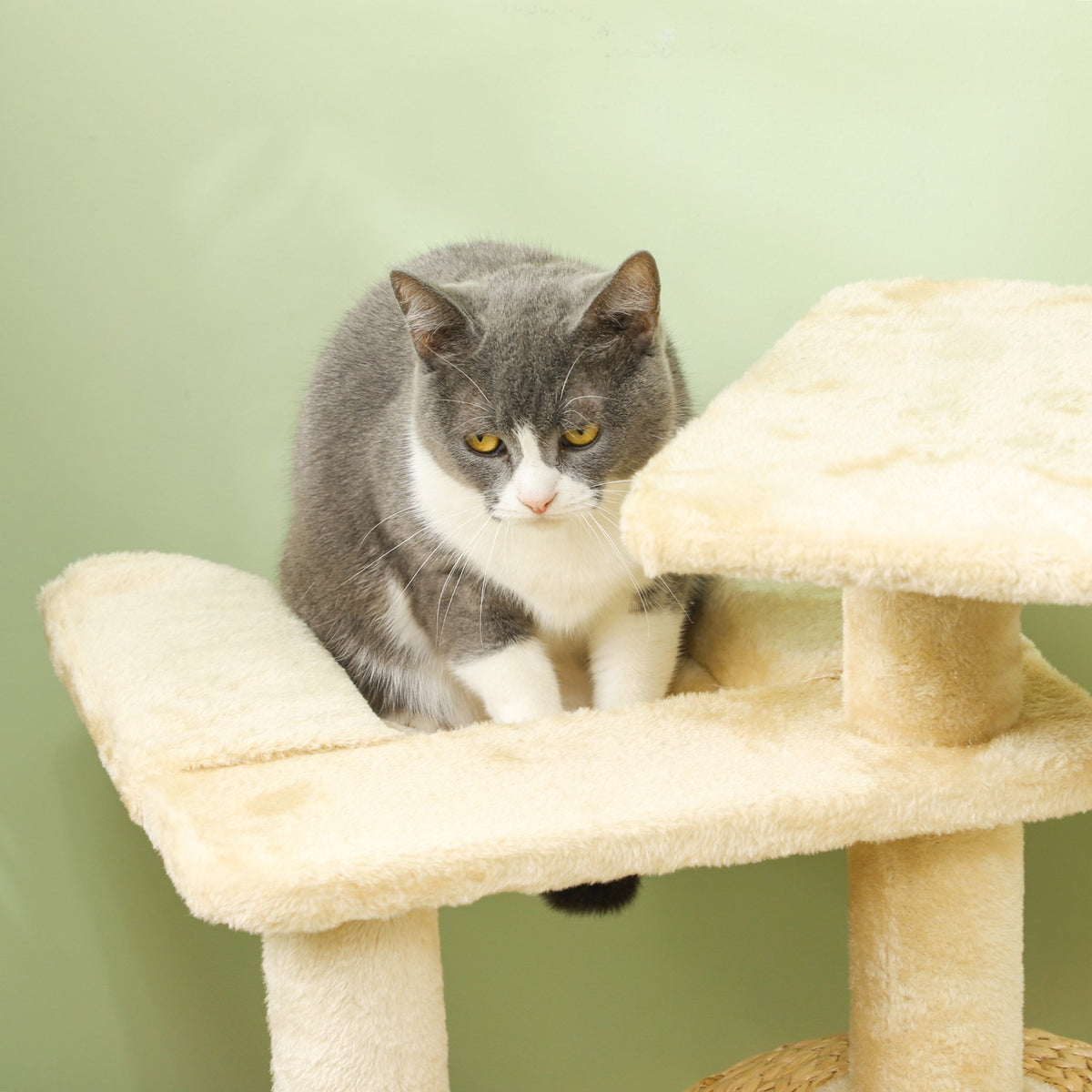 Scratching post 112 cm cat tree with cat cave, bed, play balls, cat scratching post with sisal scratching posts, for cats up to 5 kg, beige