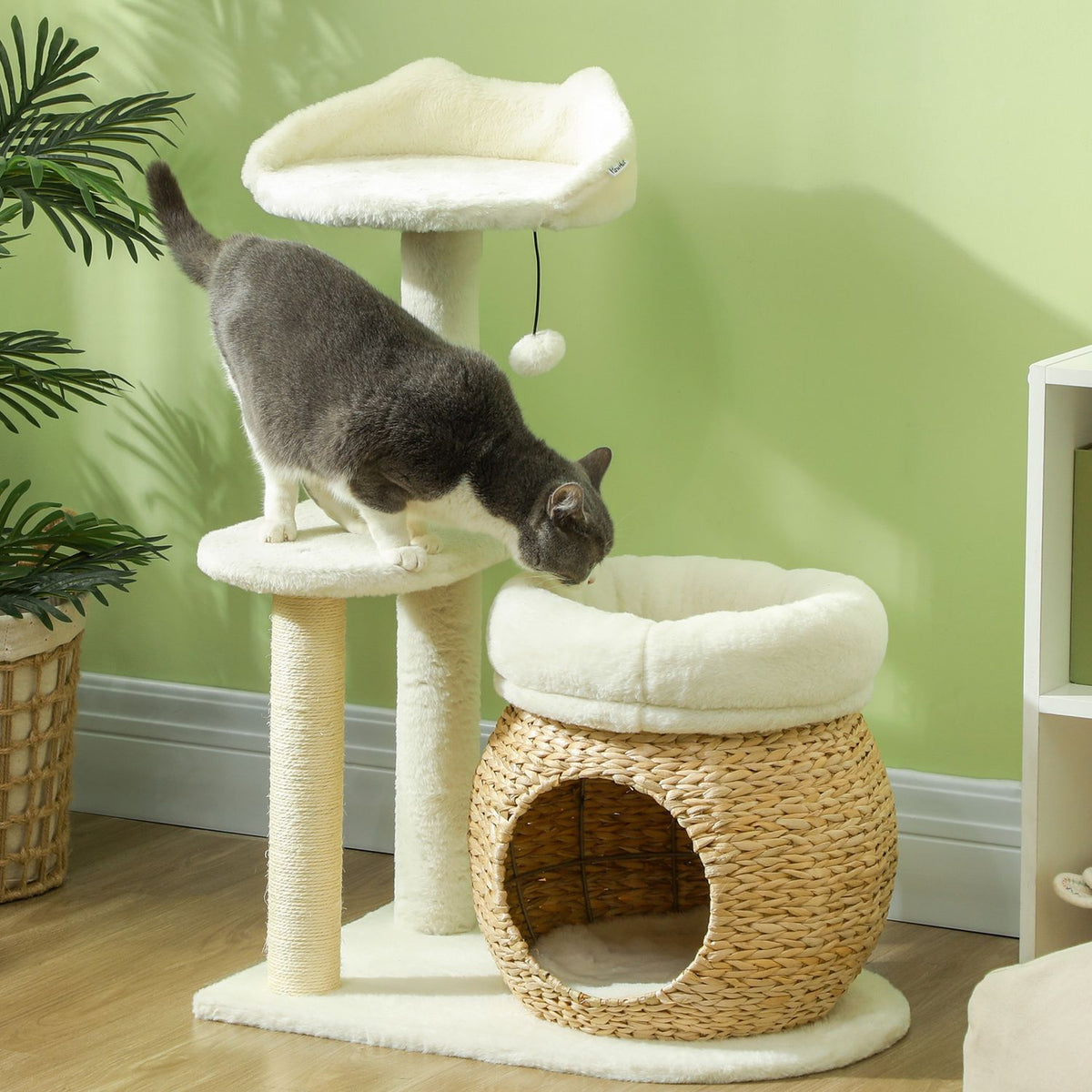 Scratching post 79 cm cat tree with cat cave, bed, play balls, cat scratching post with sisal scratching posts, for cats up to 5 kg, cream white