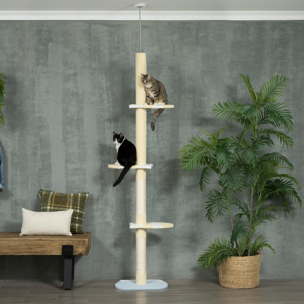 Scratching post, cat scratching post ceiling high, 220-260 cm, climbing tree with play ball, cat tree height adjustable, play tree with tip protection, plush, yellow