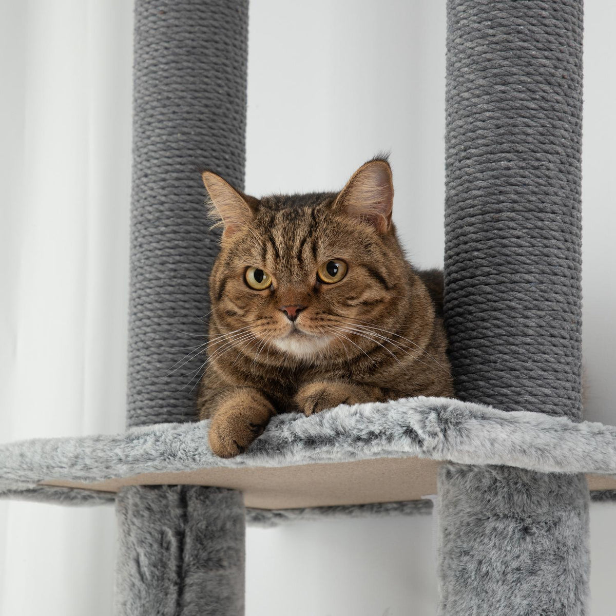 Scratching post ceiling high, cat tree, 225-255 cm cat scratching post with cat cave, scratching posts, basket, play ball, cat furniture with tip protection, gray