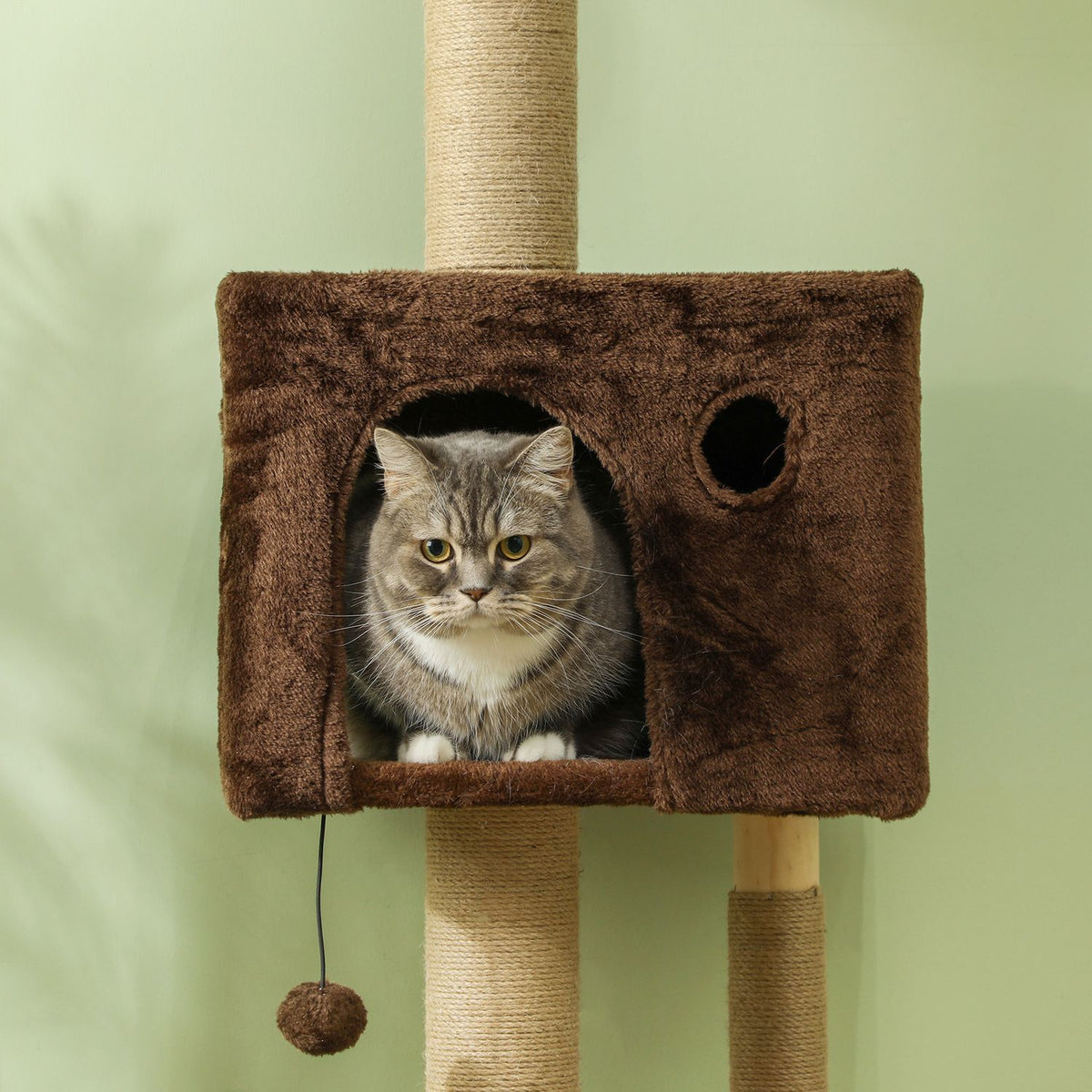 Scratching post ceiling high, cat tree, 225-265 cm cat scratching post with cat cave, scratching posts, play ball, cat furniture with tip protection, brown