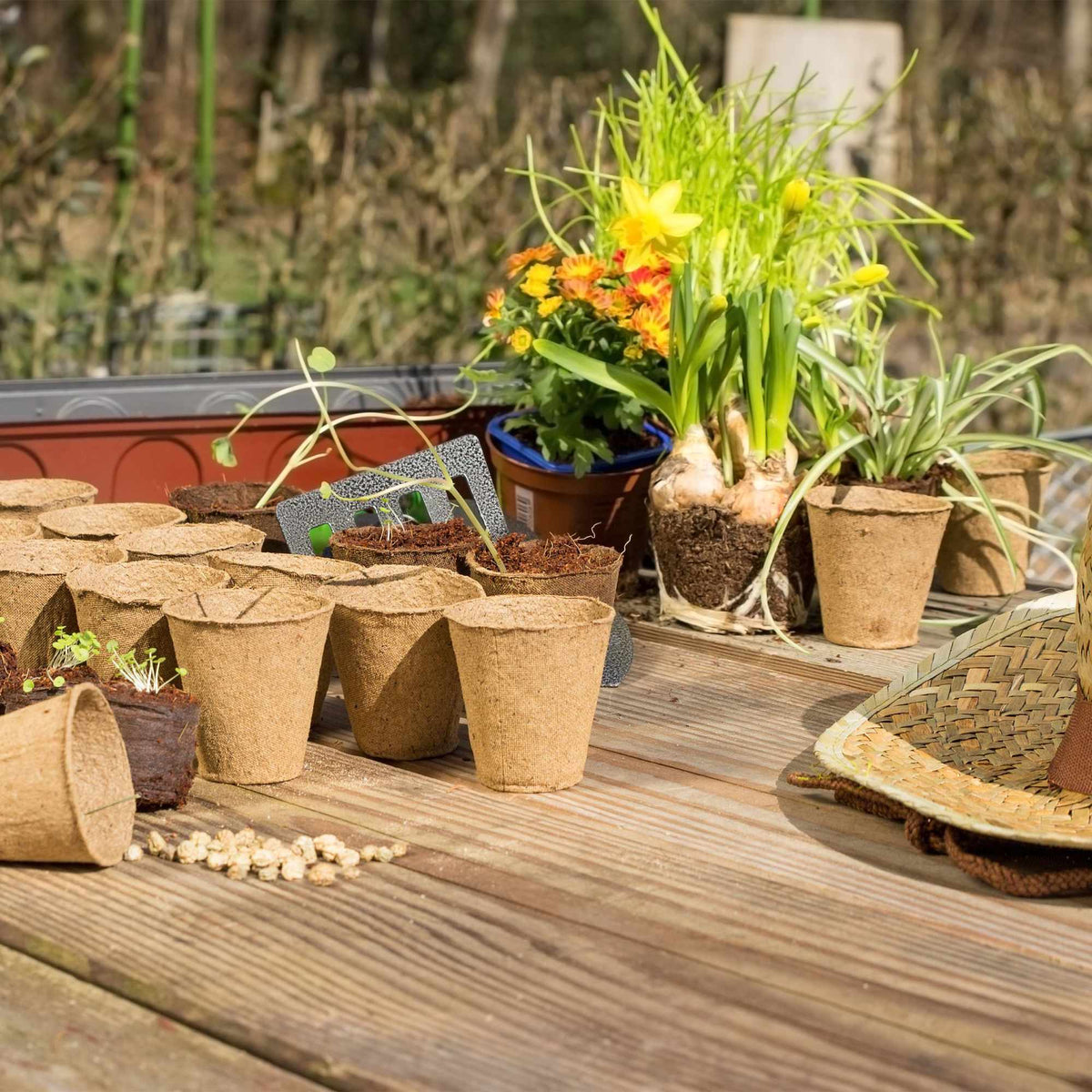 Seed pots 80 pcs.