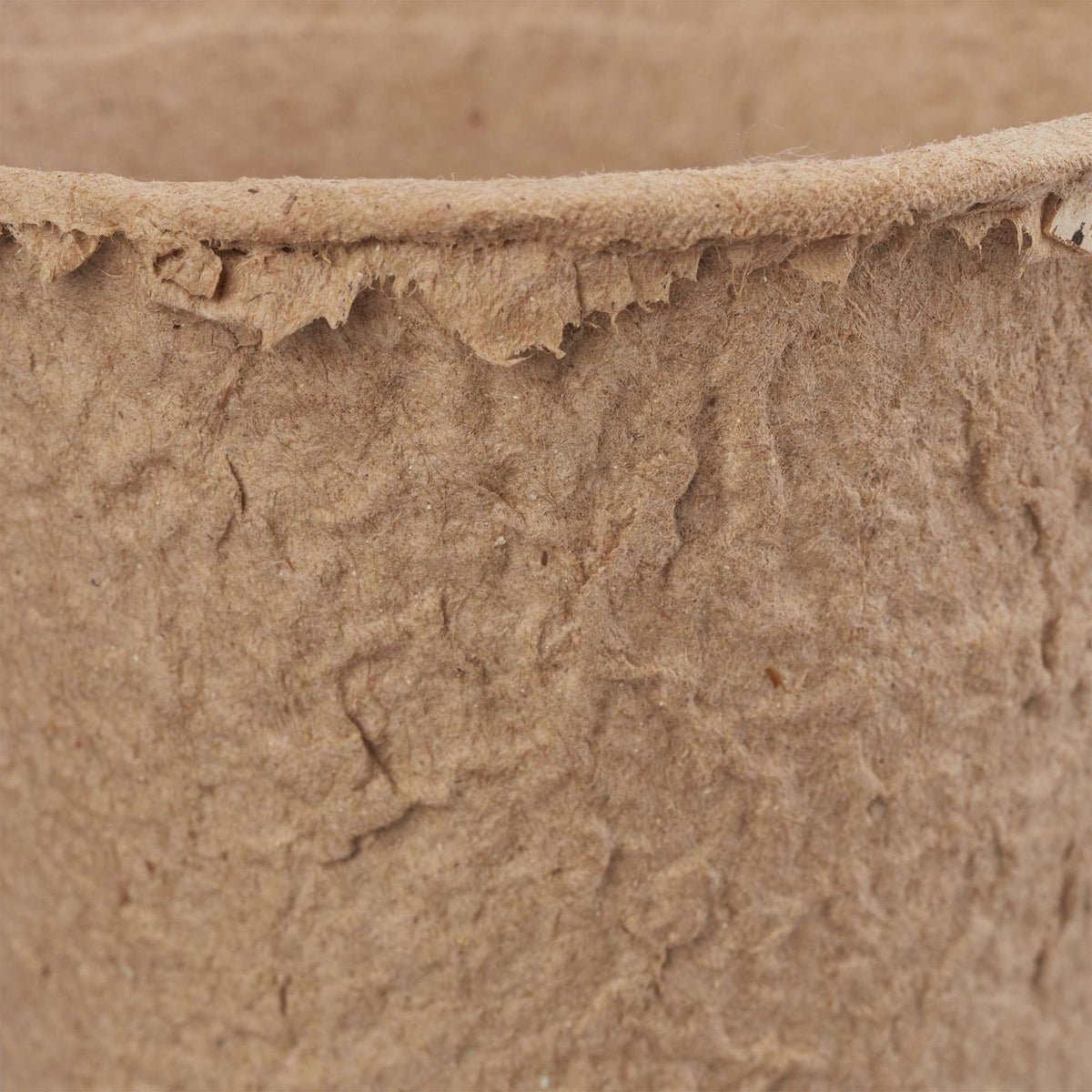 Seed pots 80 pcs.
