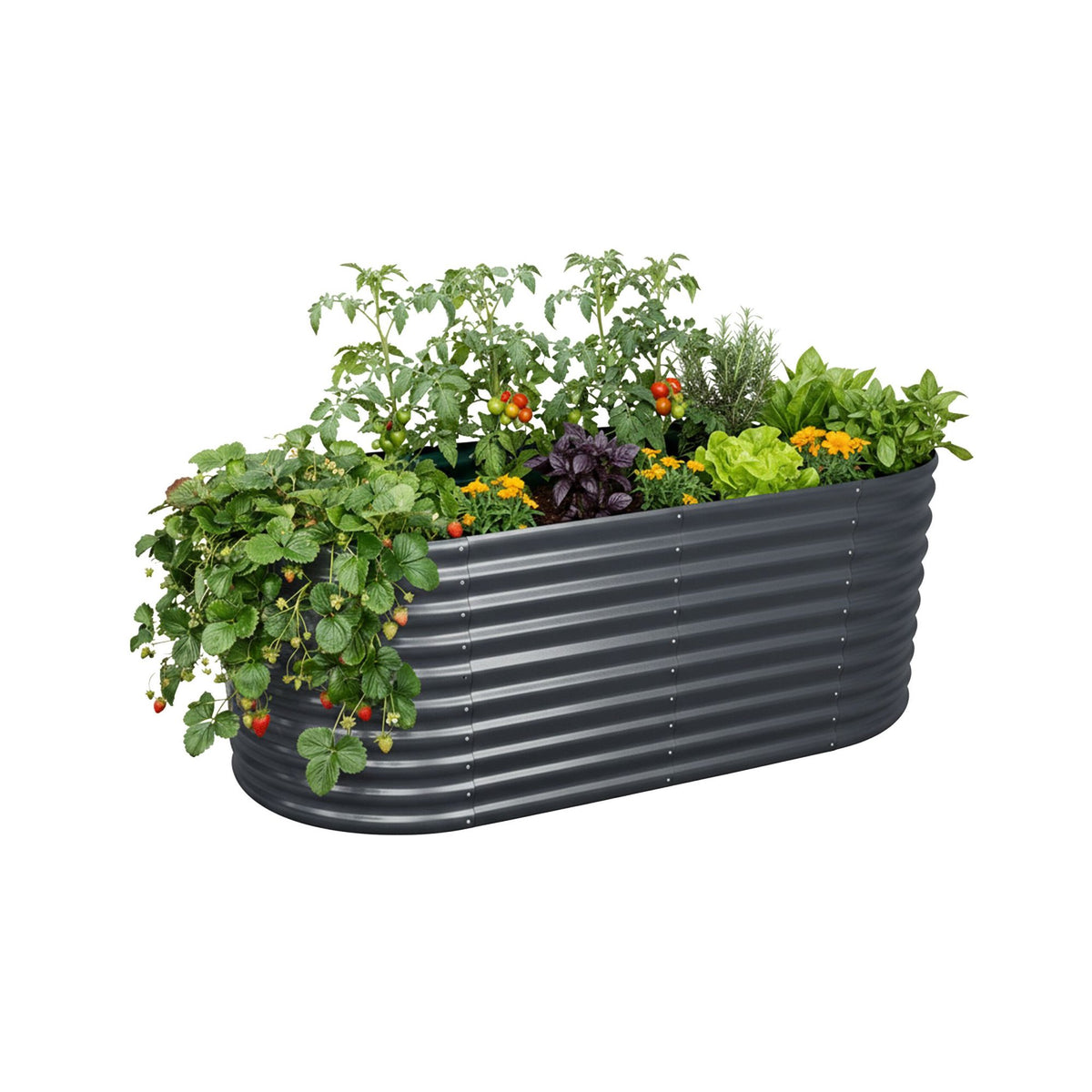 Semi-Circular Raised Garden Bed, Galvanized Steel