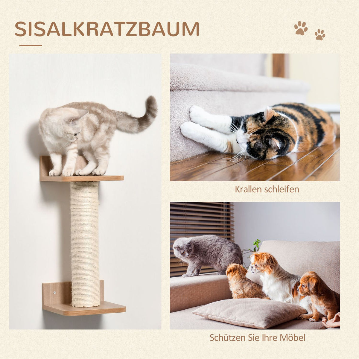 Set For Cats With Scratching Post, Cat Stairs And Hammock, Light Brown, Sisal, Acrylic, Pine